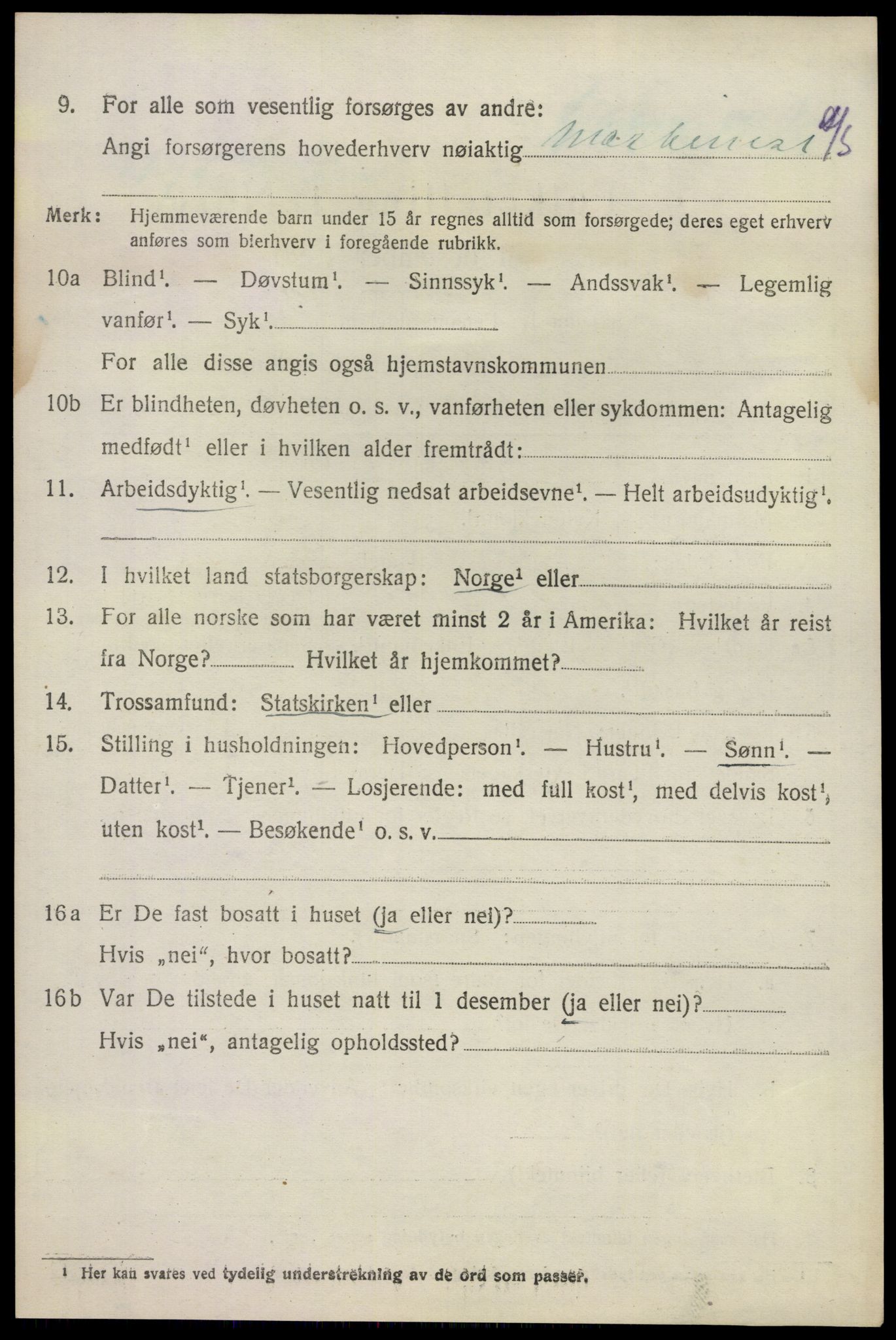 SAKO, 1920 census for Sandeherred, 1920, p. 11065