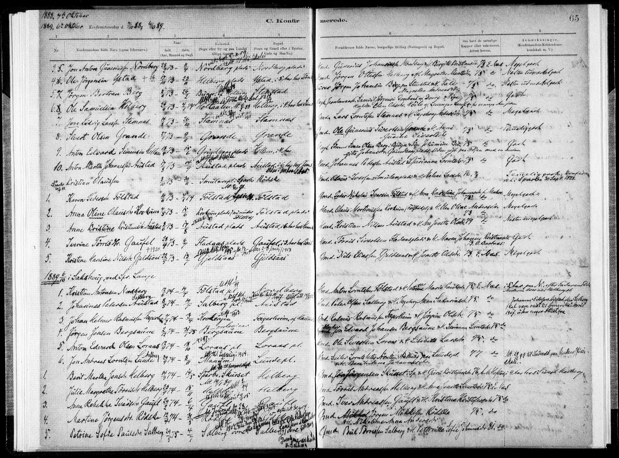 Ministerialprotokoller, klokkerbøker og fødselsregistre - Nord-Trøndelag, SAT/A-1458/731/L0309: Parish register (official) no. 731A01, 1879-1918, p. 65