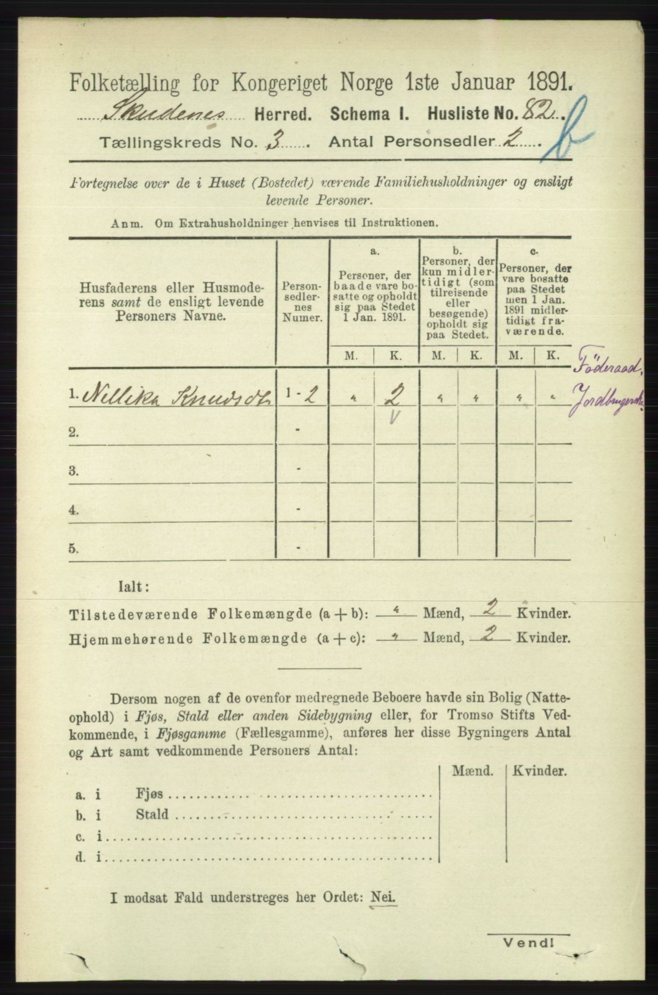 RA, 1891 census for 1150 Skudenes, 1891, p. 3993