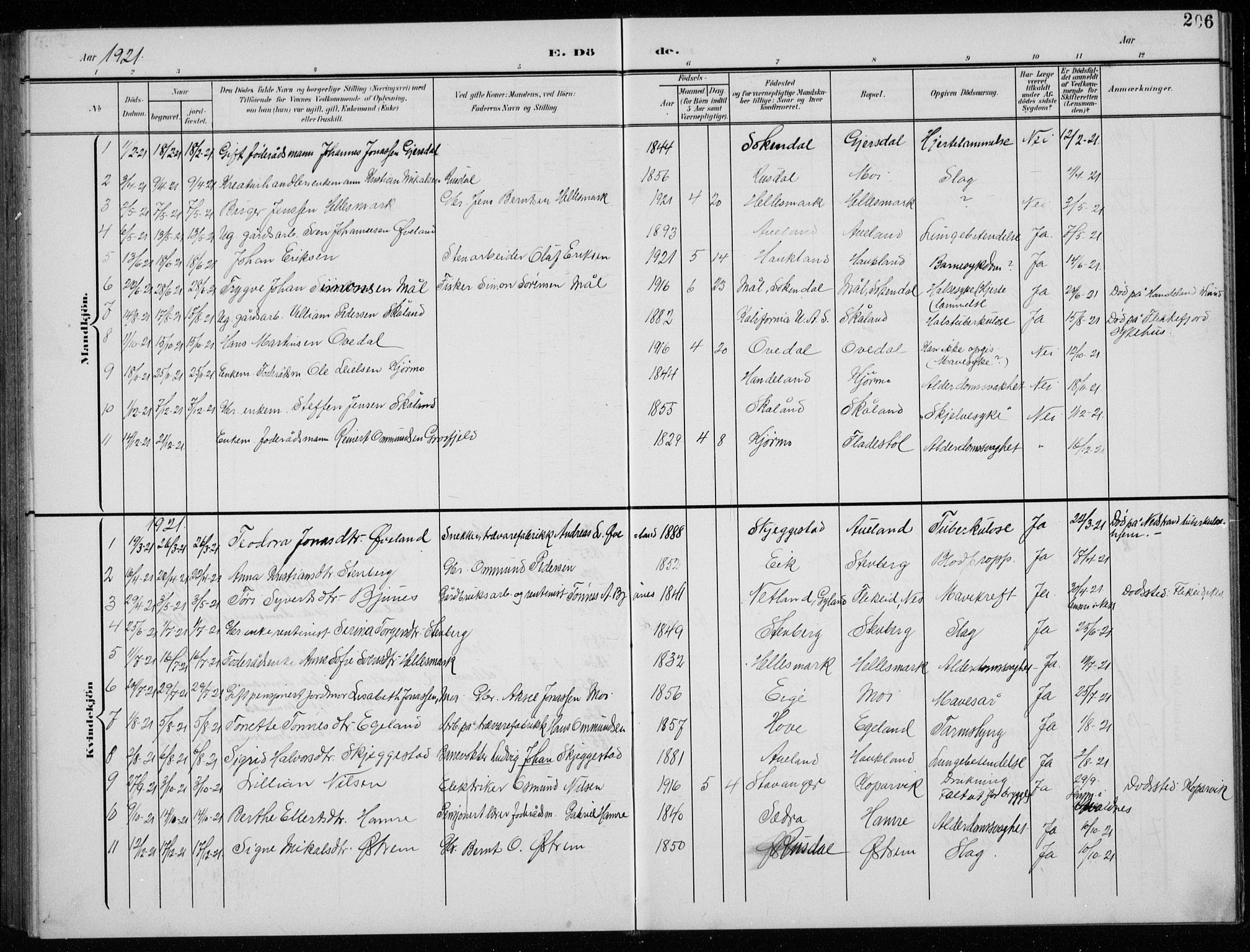 Lund sokneprestkontor, AV/SAST-A-101809/S07/L0008: Parish register (copy) no. B 8, 1902-1936, p. 206