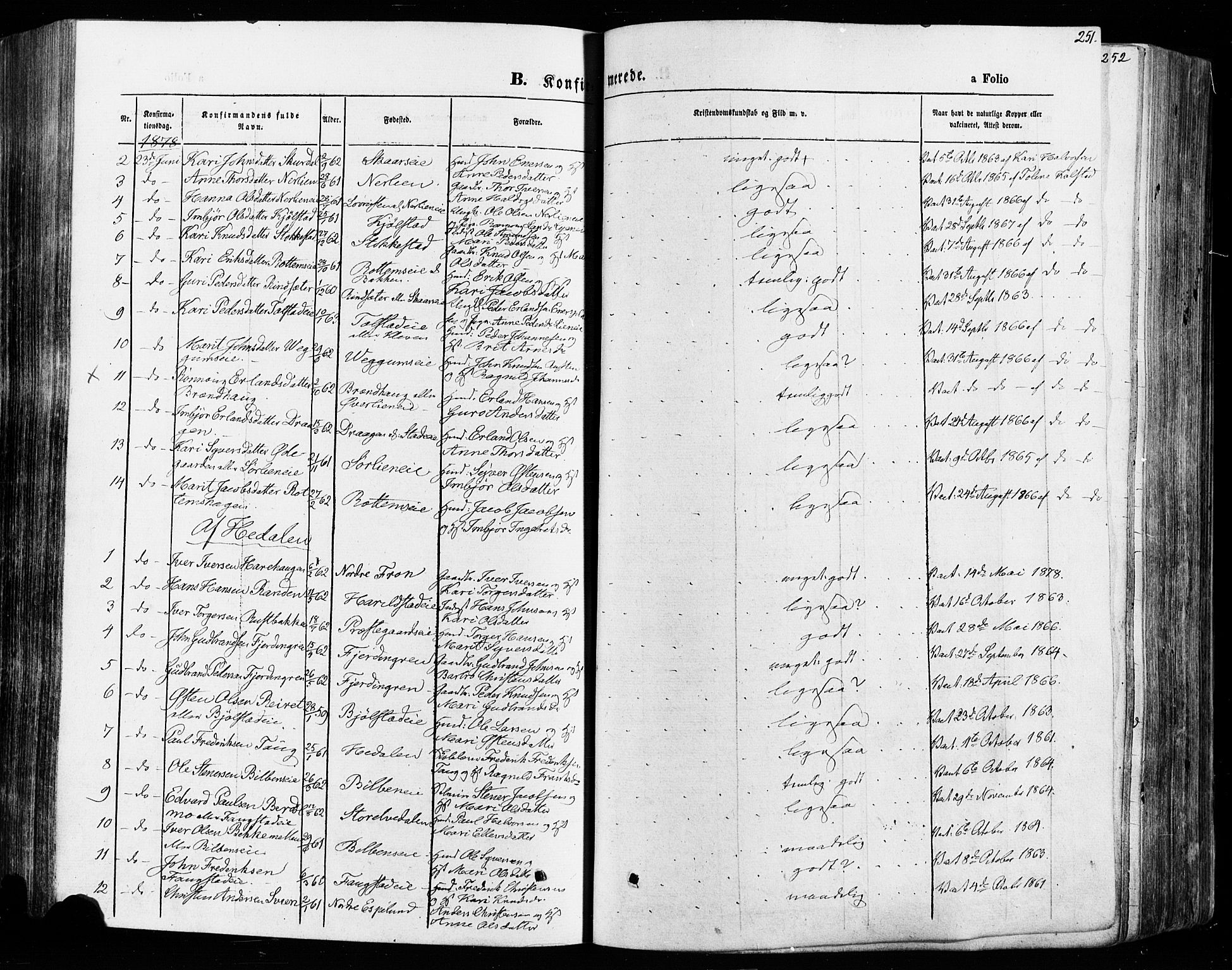 Vågå prestekontor, SAH/PREST-076/H/Ha/Haa/L0007: Parish register (official) no. 7 /1, 1872-1886, p. 251