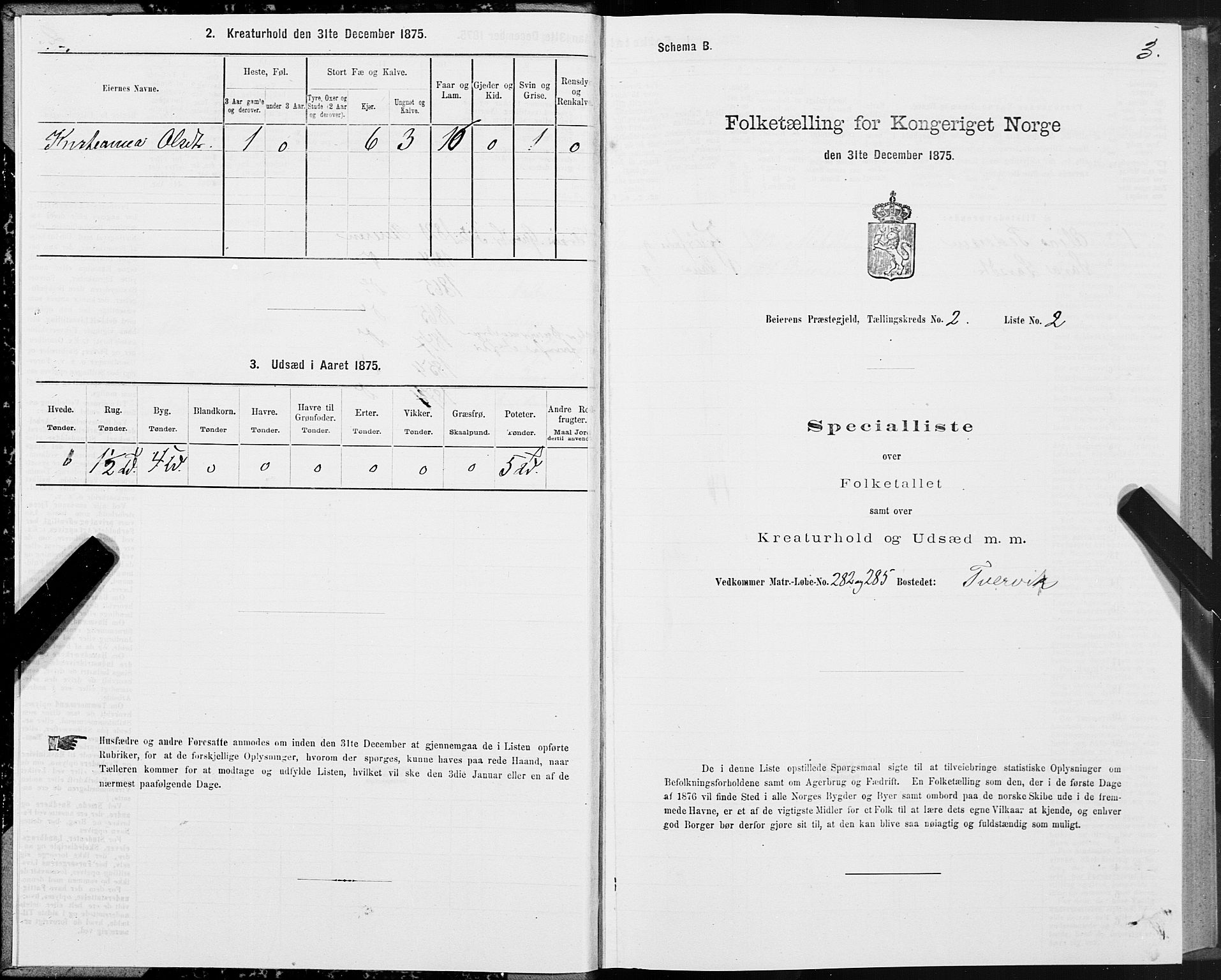 SAT, 1875 census for 1839P Beiarn, 1875, p. 2003