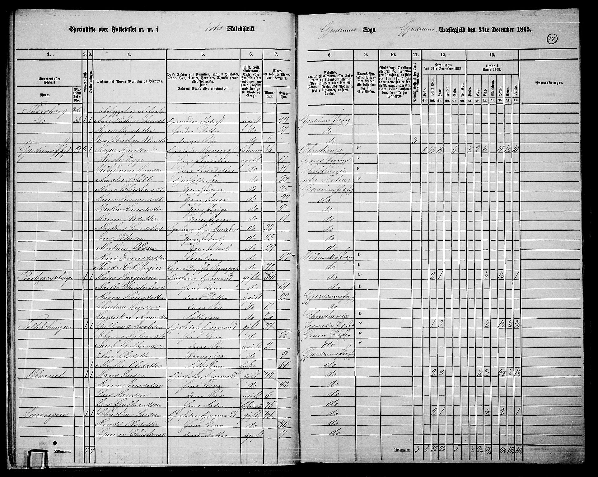 RA, 1865 census for Gjerdrum, 1865, p. 13