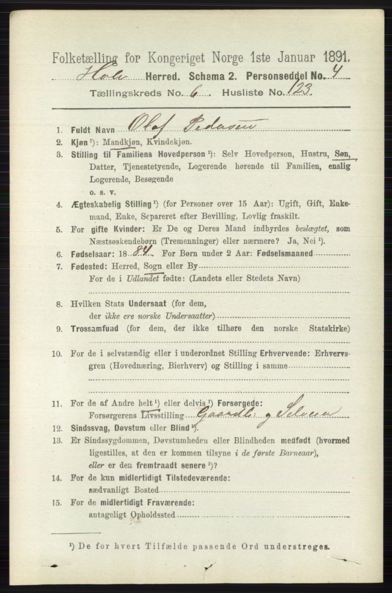 RA, 1891 census for 0612 Hole, 1891, p. 3870