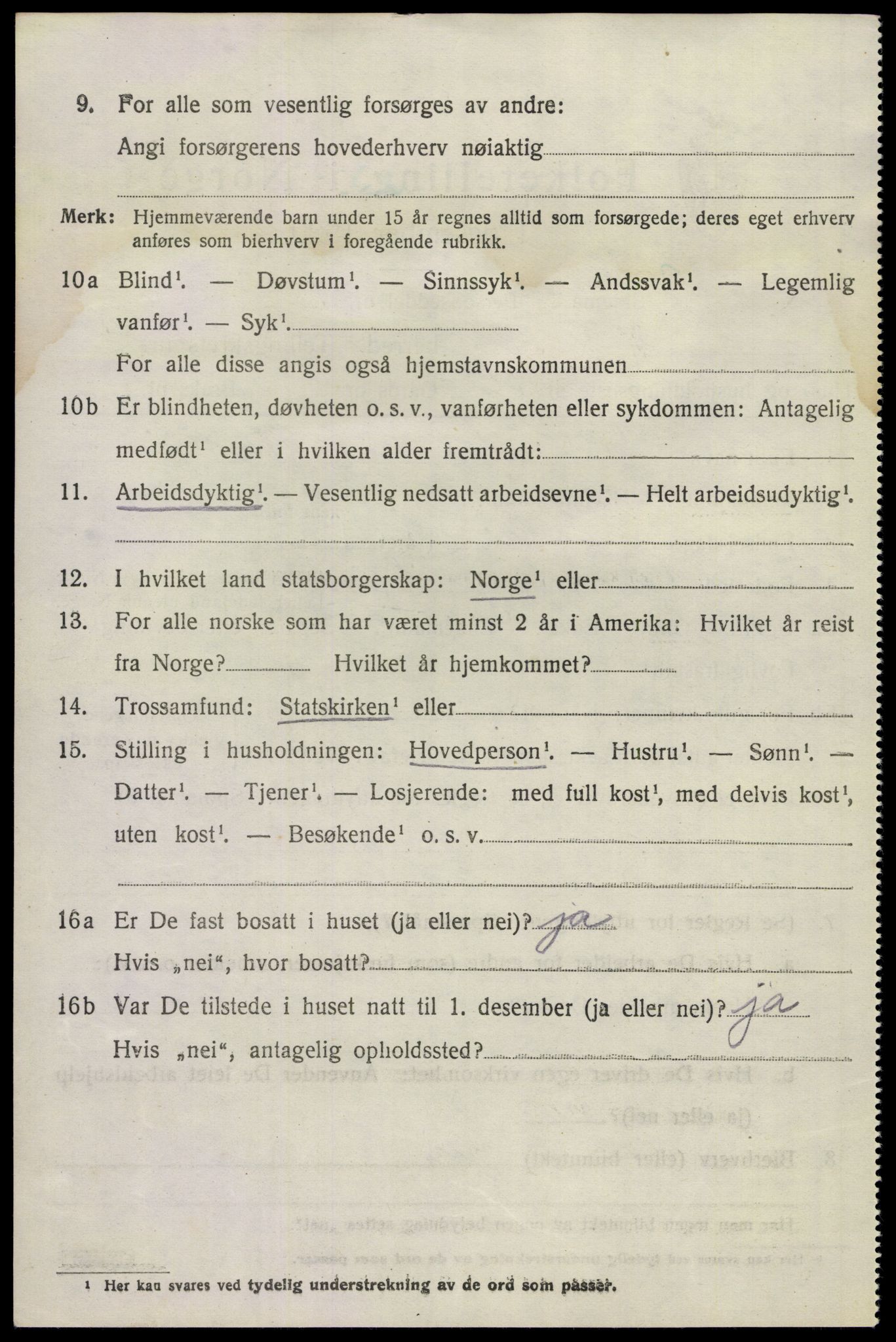 SAKO, 1920 census for Hovin, 1920, p. 1158