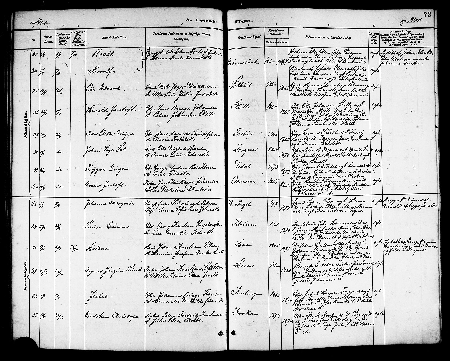 Ministerialprotokoller, klokkerbøker og fødselsregistre - Nordland, SAT/A-1459/813/L0213: Parish register (copy) no. 813C05, 1887-1903, p. 73