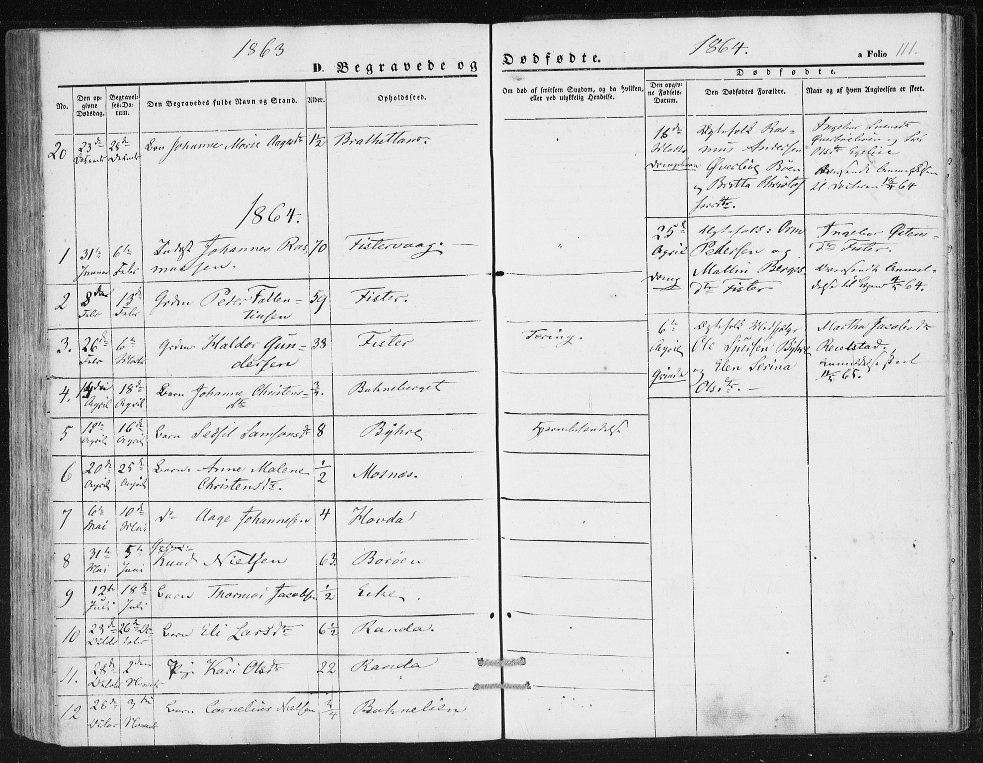 Hjelmeland sokneprestkontor, AV/SAST-A-101843/01/IV/L0010: Parish register (official) no. A 10, 1851-1871, p. 111