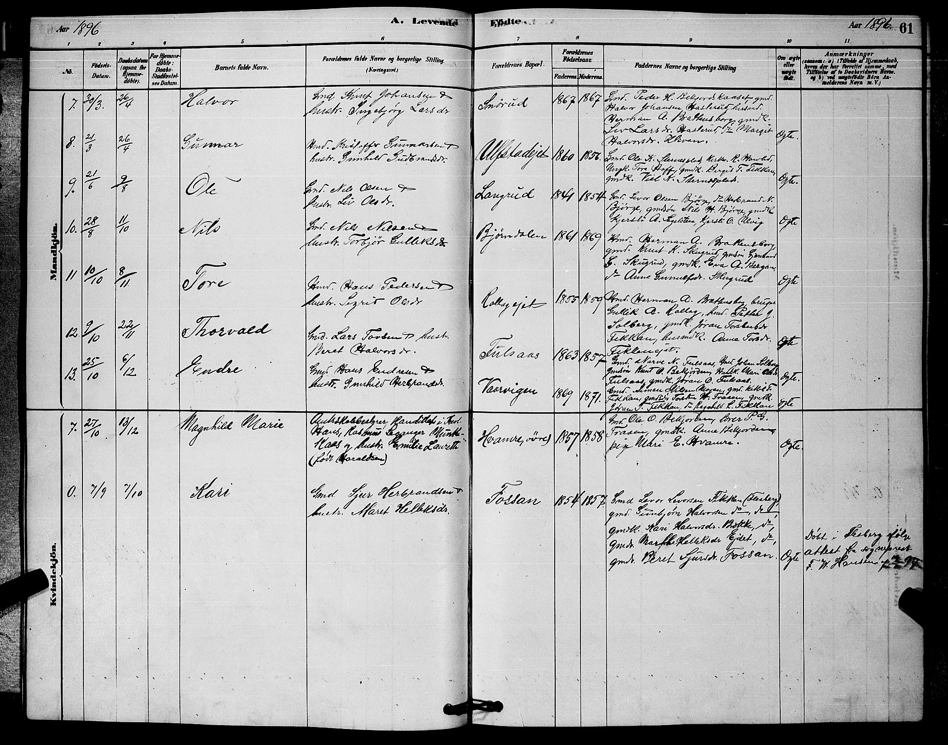 Rollag kirkebøker, AV/SAKO-A-240/G/Ga/L0004: Parish register (copy) no. I 4, 1878-1903, p. 61