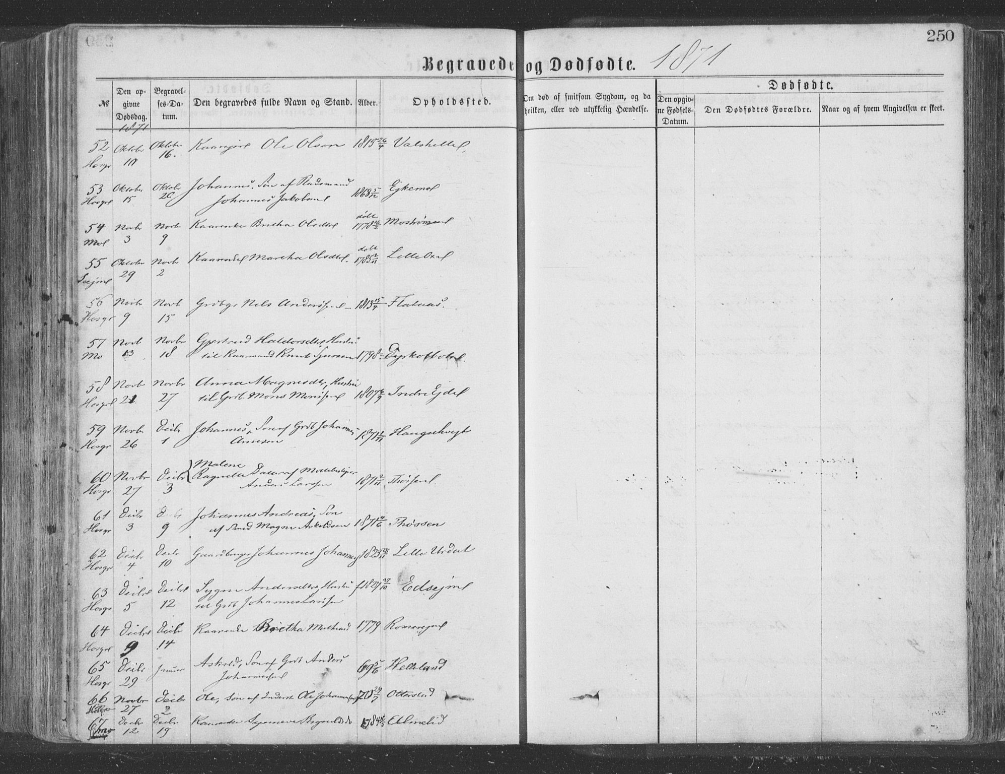 Hosanger sokneprestembete, AV/SAB-A-75801/H/Haa: Parish register (official) no. A 9, 1864-1876, p. 250