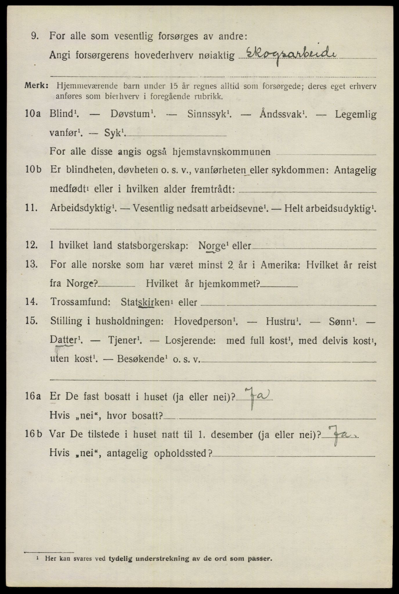 SAO, 1920 census for Nes, 1920, p. 17763