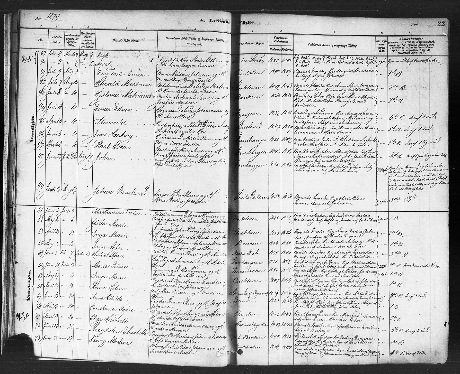 Halden prestekontor Kirkebøker, AV/SAO-A-10909/F/Fa/L0011: Parish register (official) no. I 11, 1878-1889, p. 22