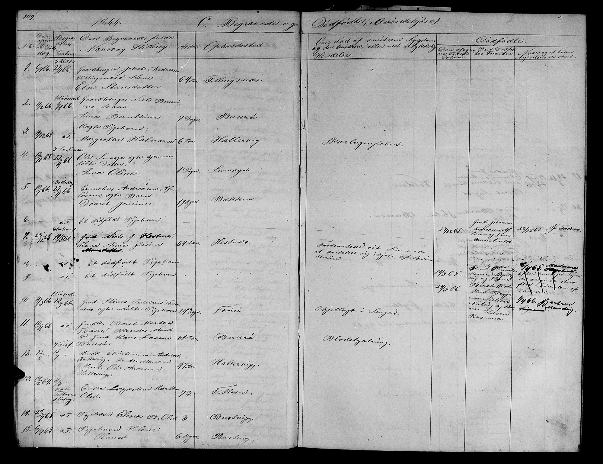 Ministerialprotokoller, klokkerbøker og fødselsregistre - Sør-Trøndelag, SAT/A-1456/634/L0539: Parish register (copy) no. 634C01, 1866-1873, p. 109