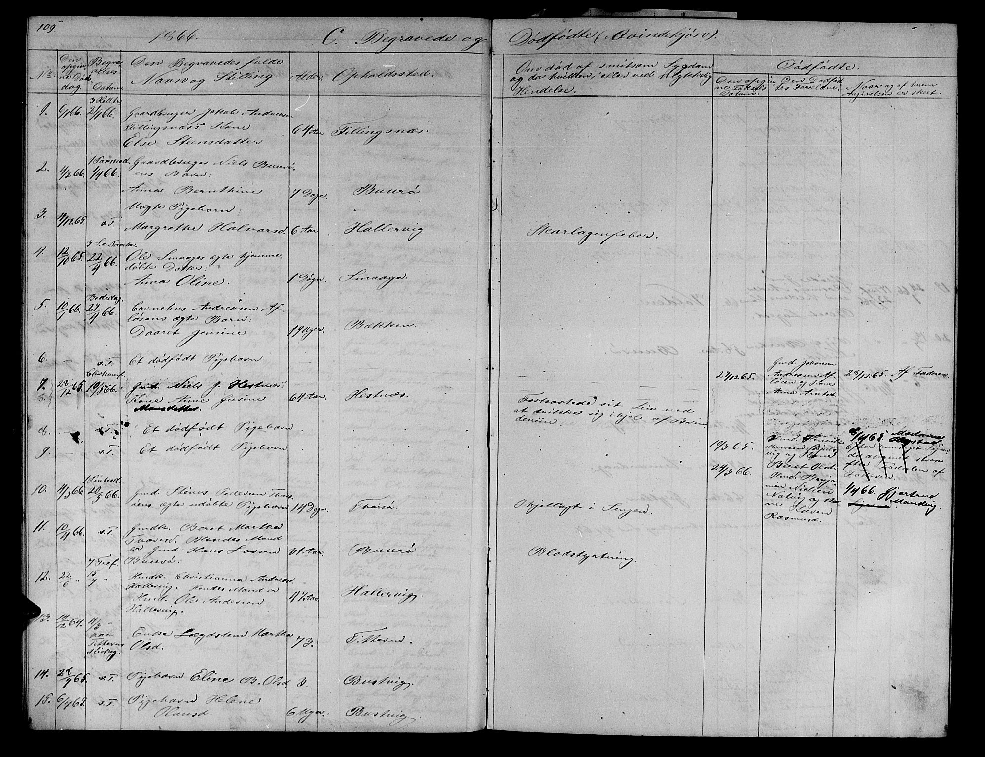 Ministerialprotokoller, klokkerbøker og fødselsregistre - Sør-Trøndelag, AV/SAT-A-1456/634/L0539: Parish register (copy) no. 634C01, 1866-1873, p. 109