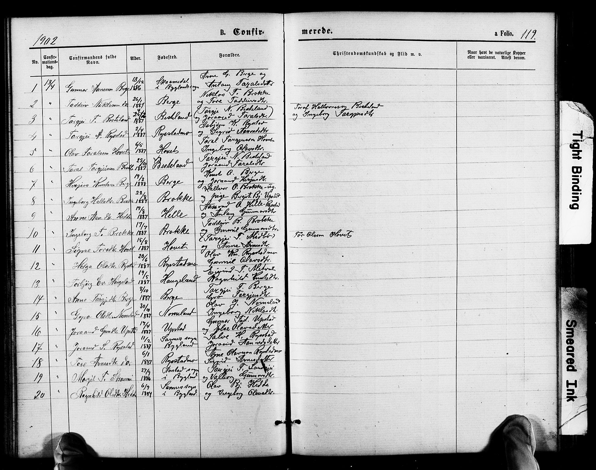 Valle sokneprestkontor, SAK/1111-0044/F/Fb/Fbb/L0002: Parish register (copy) no. B 2, 1875-1921, p. 119