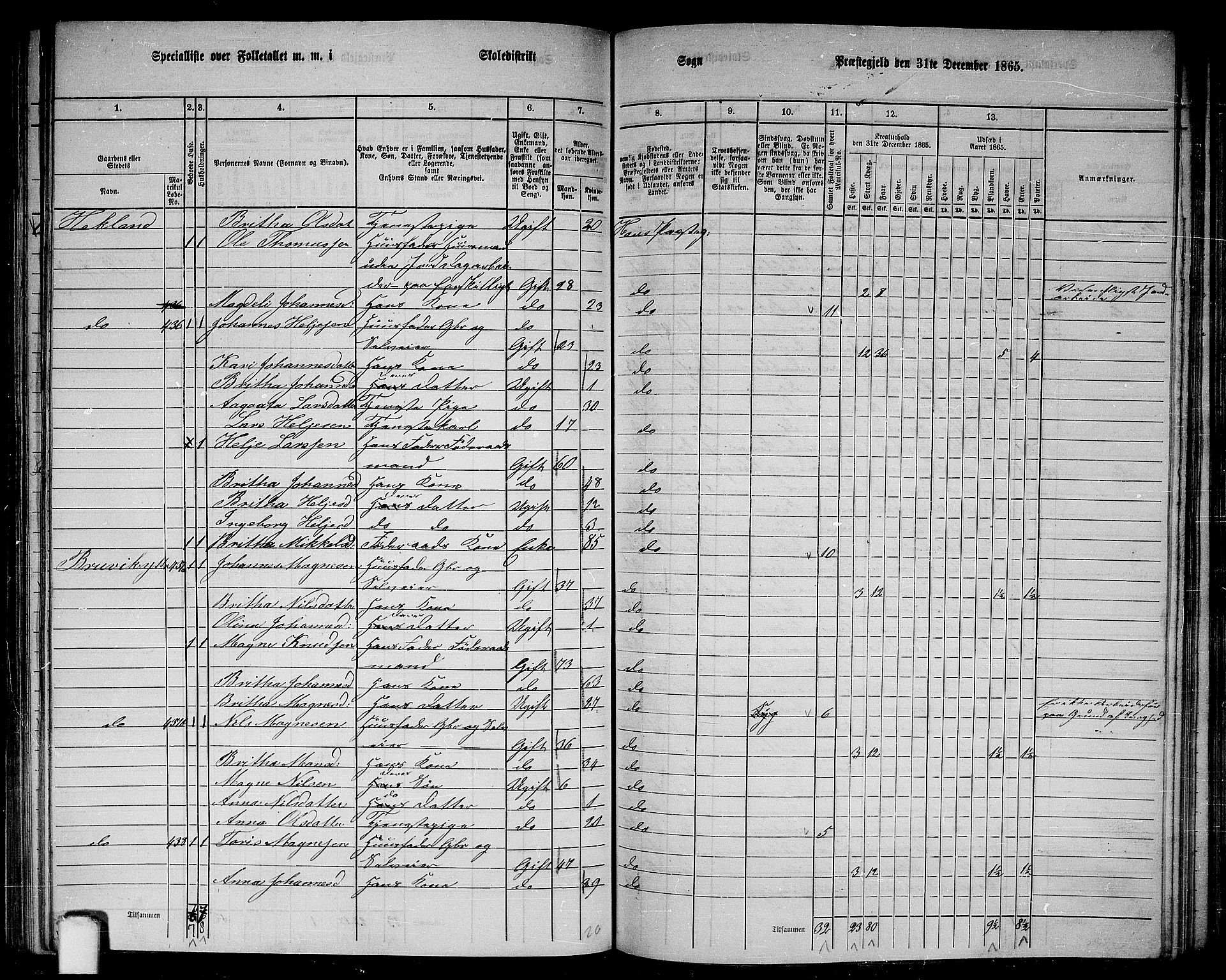 RA, 1865 census for Haus, 1865, p. 172