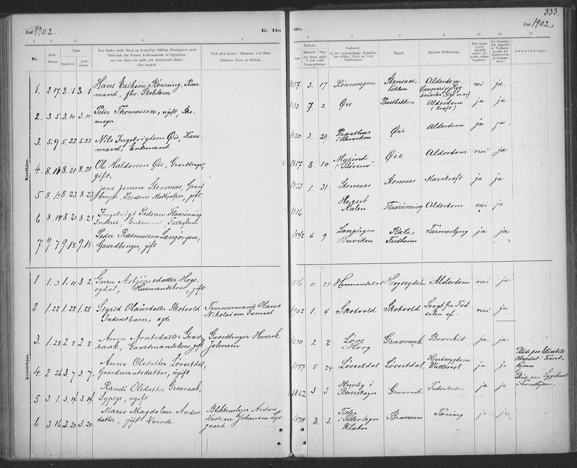 Ministerialprotokoller, klokkerbøker og fødselsregistre - Sør-Trøndelag, SAT/A-1456/691/L1085: Parish register (official) no. 691A17, 1887-1908, p. 333