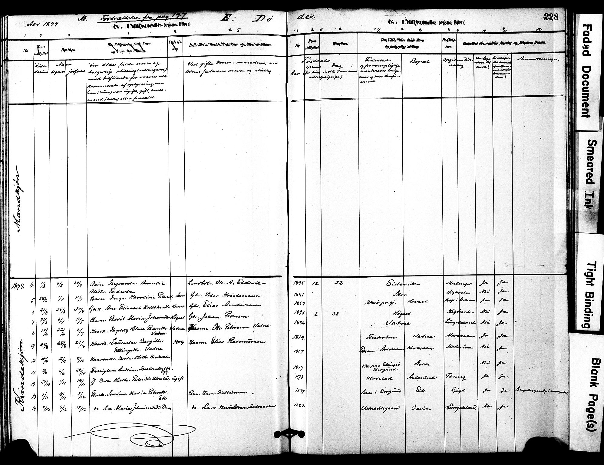 Ministerialprotokoller, klokkerbøker og fødselsregistre - Møre og Romsdal, SAT/A-1454/525/L0374: Parish register (official) no. 525A04, 1880-1899, p. 228
