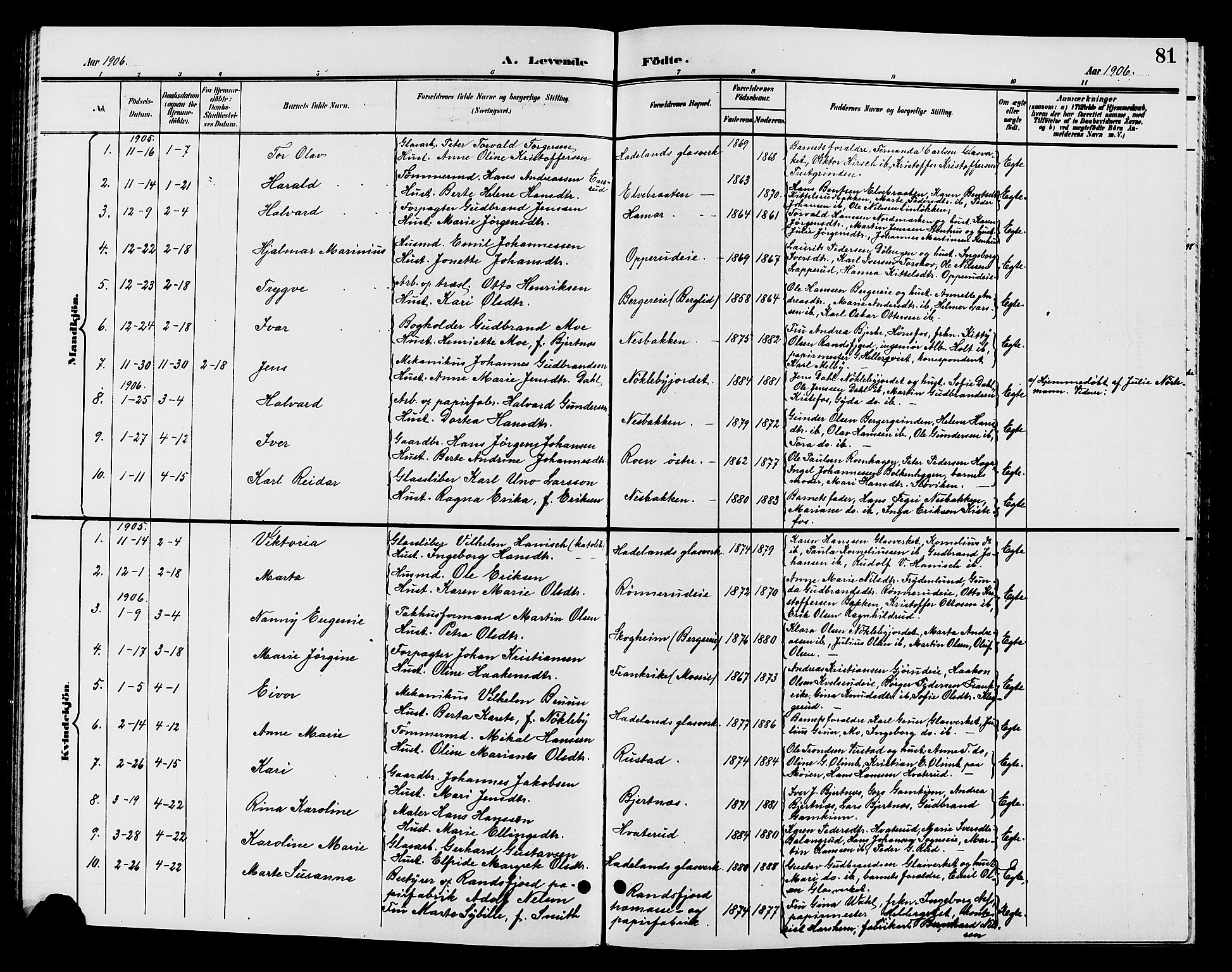 Jevnaker prestekontor, SAH/PREST-116/H/Ha/Hab/L0002: Parish register (copy) no. 2, 1896-1906, p. 81
