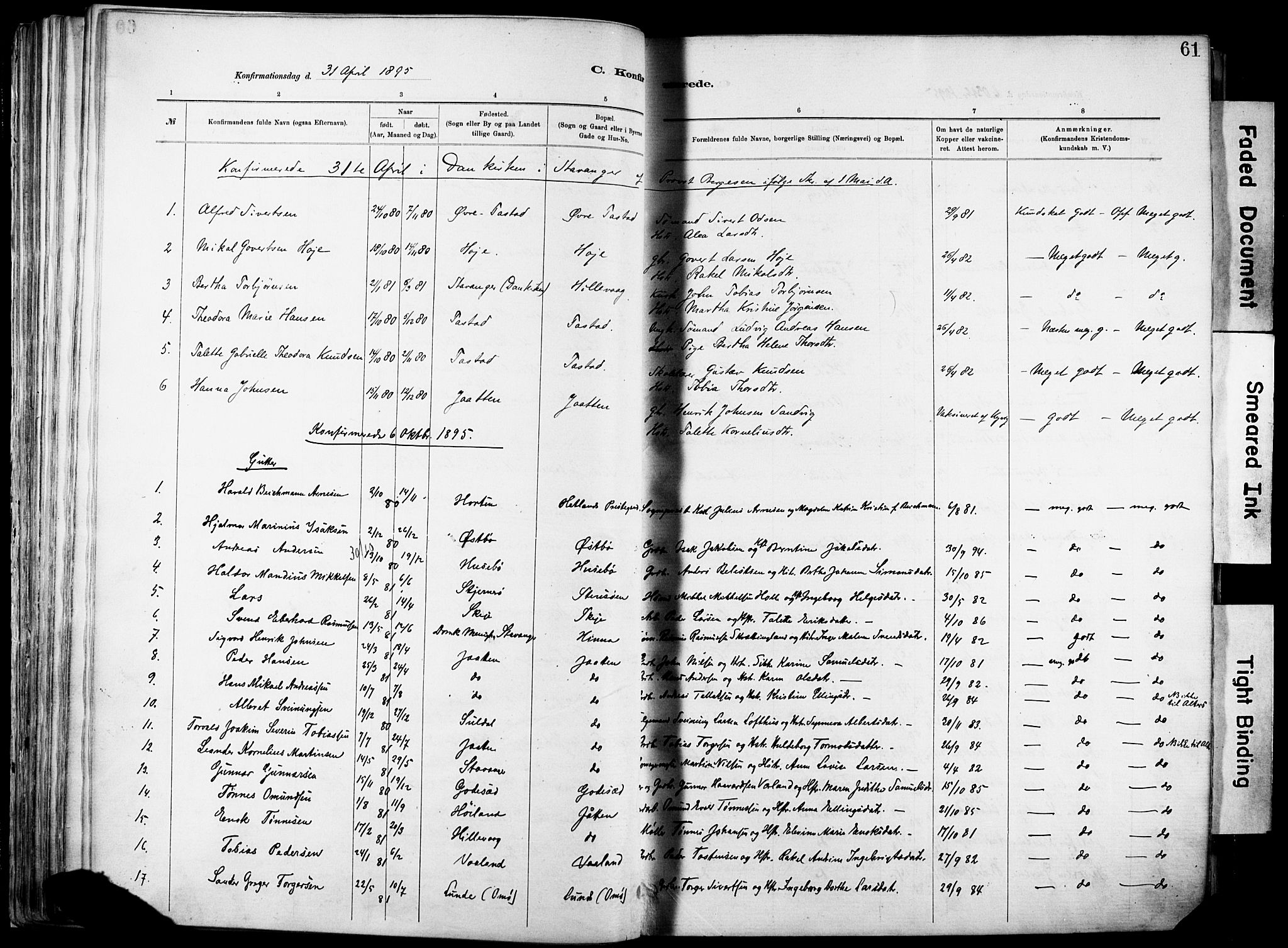 Hetland sokneprestkontor, SAST/A-101826/30/30BA/L0012: Parish register (official) no. A 12, 1882-1912, p. 61