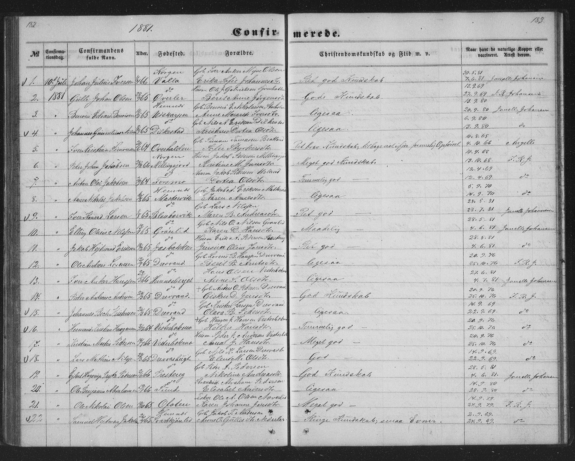 Ministerialprotokoller, klokkerbøker og fødselsregistre - Nordland, AV/SAT-A-1459/825/L0366: Parish register (copy) no. 825C03, 1858-1884, p. 182-183