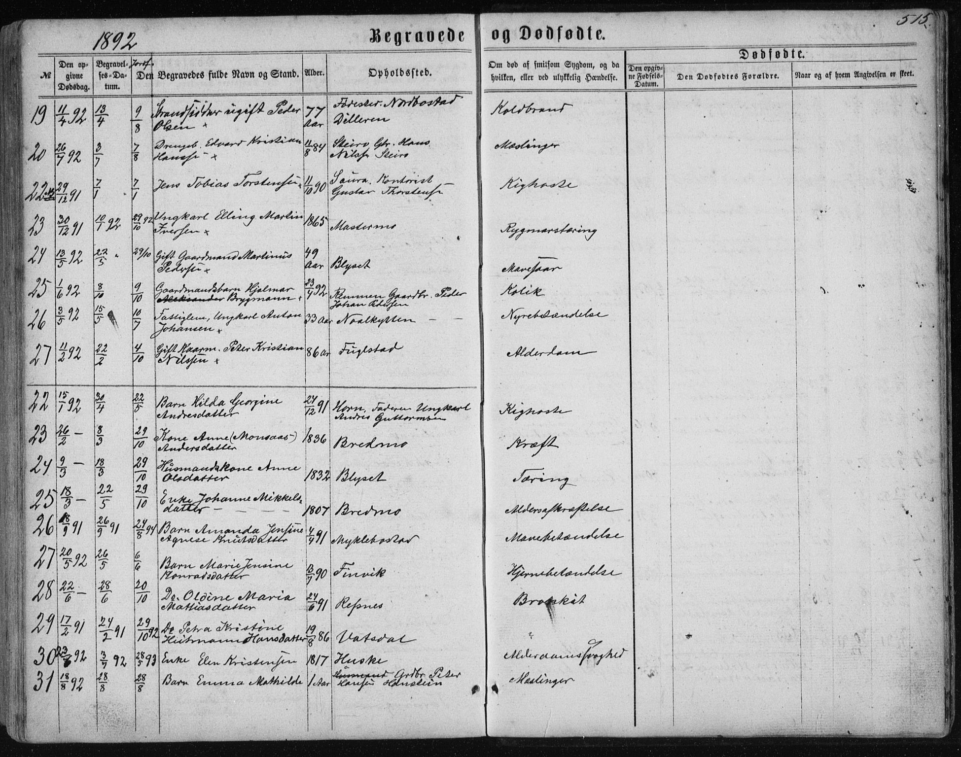 Ministerialprotokoller, klokkerbøker og fødselsregistre - Nordland, AV/SAT-A-1459/838/L0556: Parish register (copy) no. 838C03, 1861-1893, p. 515