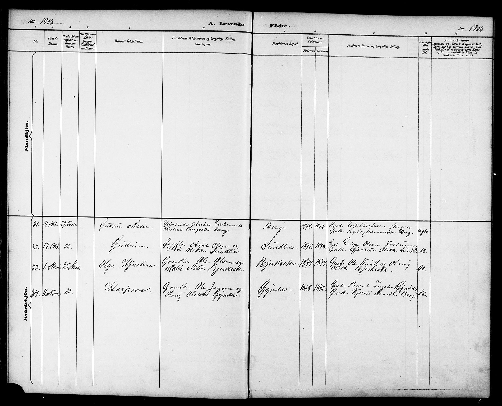 Ministerialprotokoller, klokkerbøker og fødselsregistre - Sør-Trøndelag, AV/SAT-A-1456/689/L1044: Parish register (copy) no. 689C03, 1893-1922