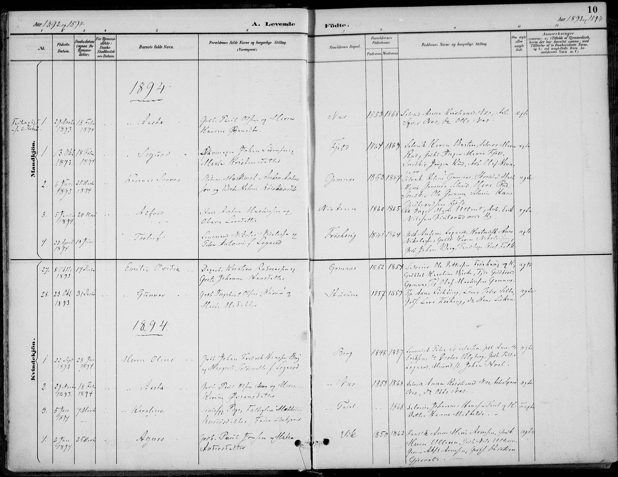 Hole kirkebøker, AV/SAKO-A-228/F/Fa/L0009: Parish register (official) no. I 9, 1892-1907, p. 10