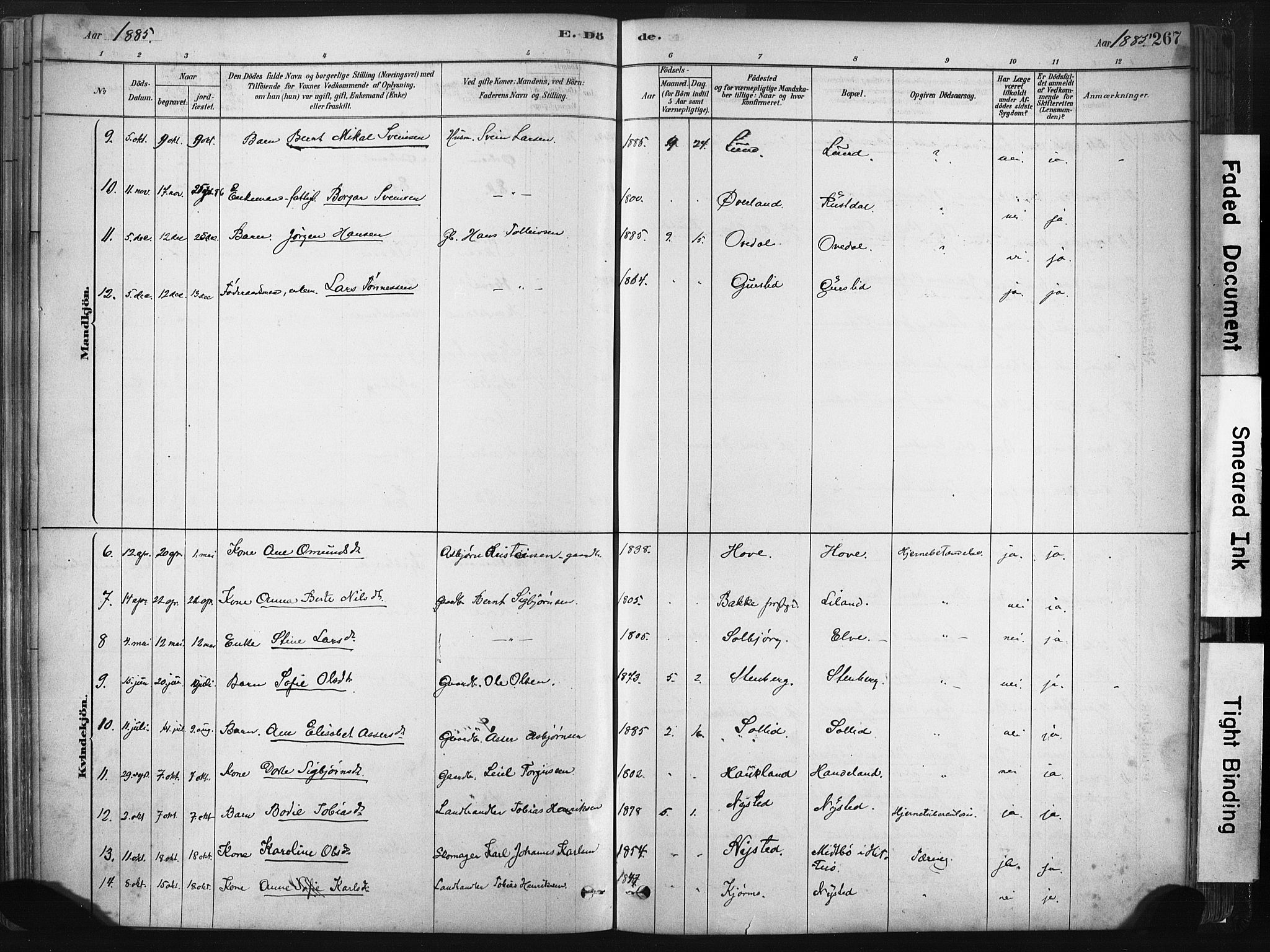 Lund sokneprestkontor, SAST/A-101809/S06/L0011: Parish register (official) no. A 10, 1877-1904, p. 267