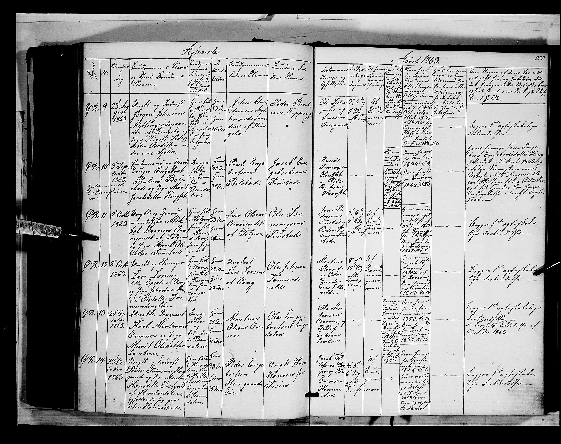 Rendalen prestekontor, AV/SAH-PREST-054/H/Ha/Haa/L0005: Parish register (official) no. 5, 1853-1866, p. 255