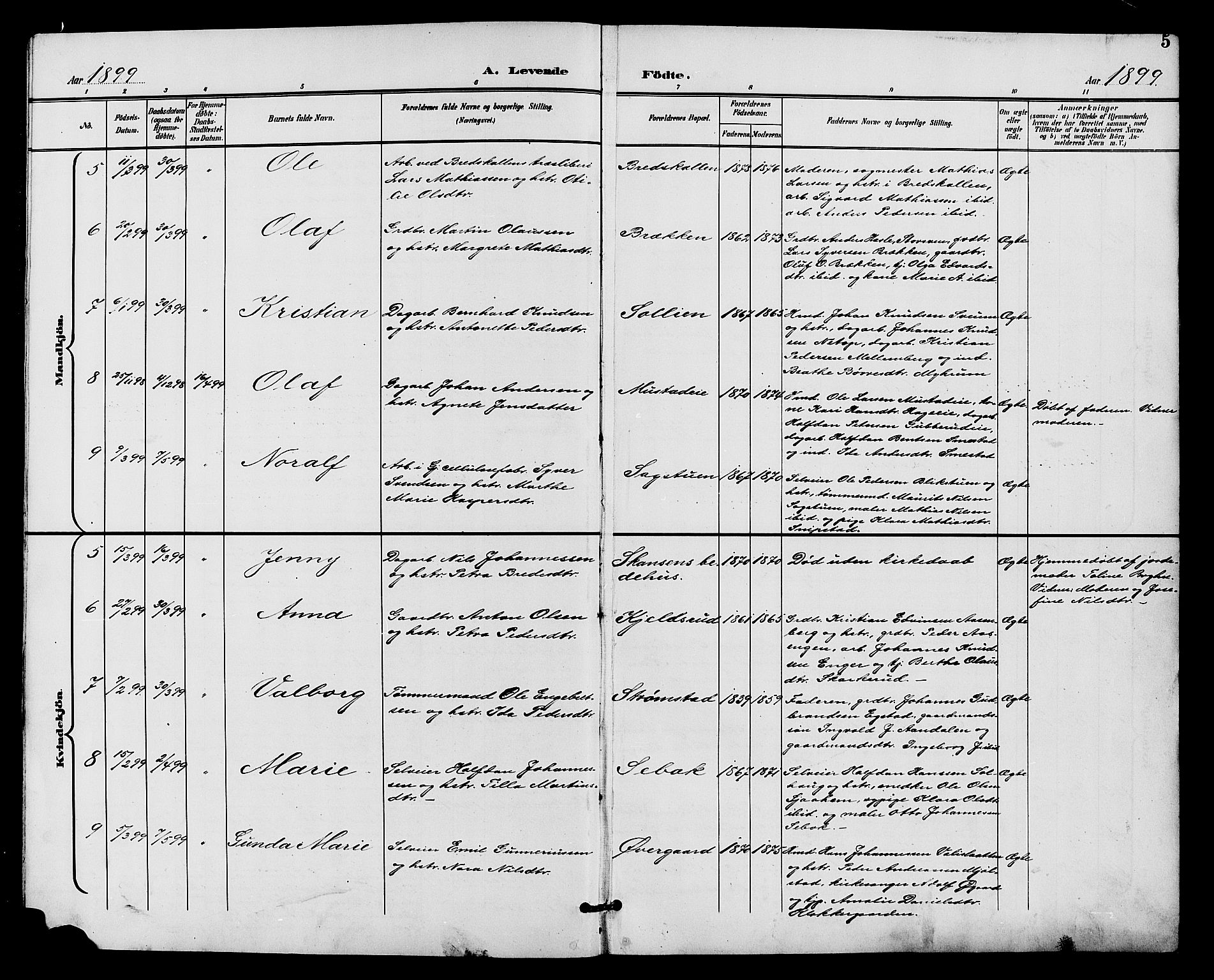 Vardal prestekontor, SAH/PREST-100/H/Ha/Hab/L0011: Parish register (copy) no. 11, 1899-1913, p. 5