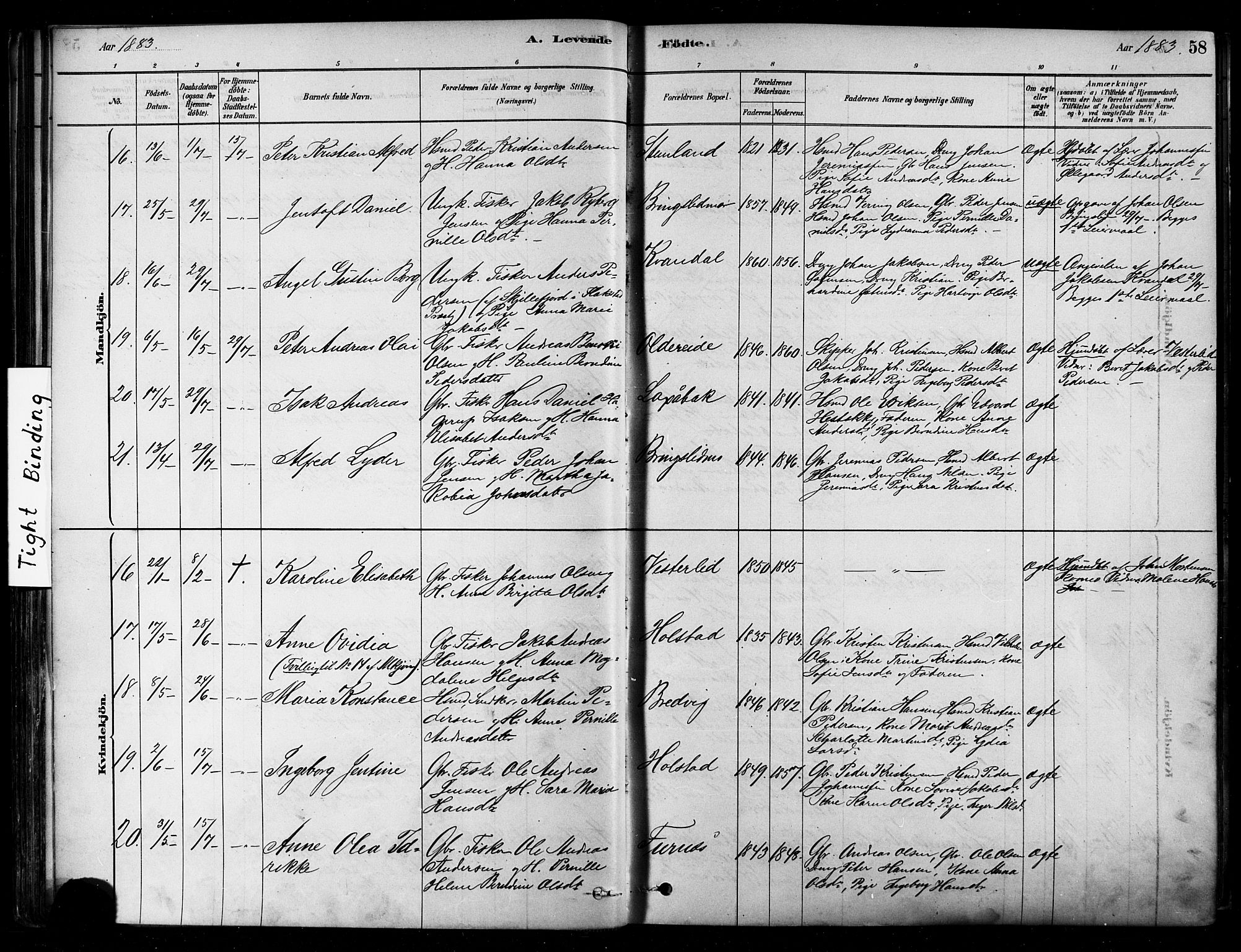 Ministerialprotokoller, klokkerbøker og fødselsregistre - Nordland, AV/SAT-A-1459/852/L0740: Parish register (official) no. 852A10, 1878-1894, p. 58