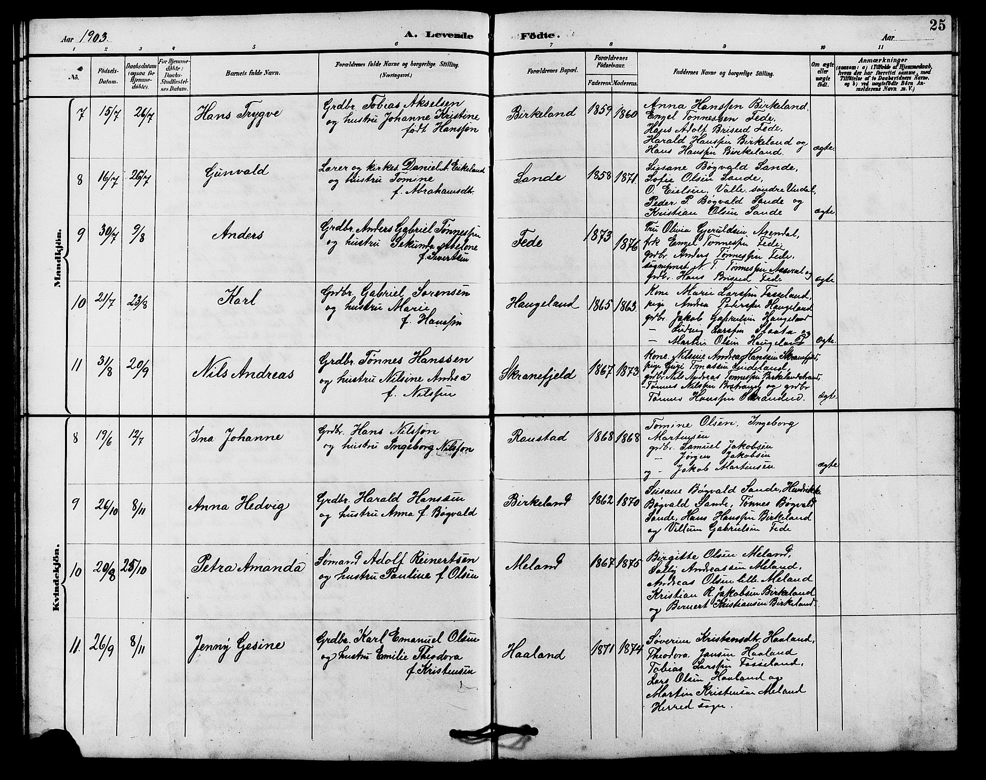 Kvinesdal sokneprestkontor, SAK/1111-0026/F/Fb/Fba/L0004: Parish register (copy) no. B 4, 1894-1909, p. 25