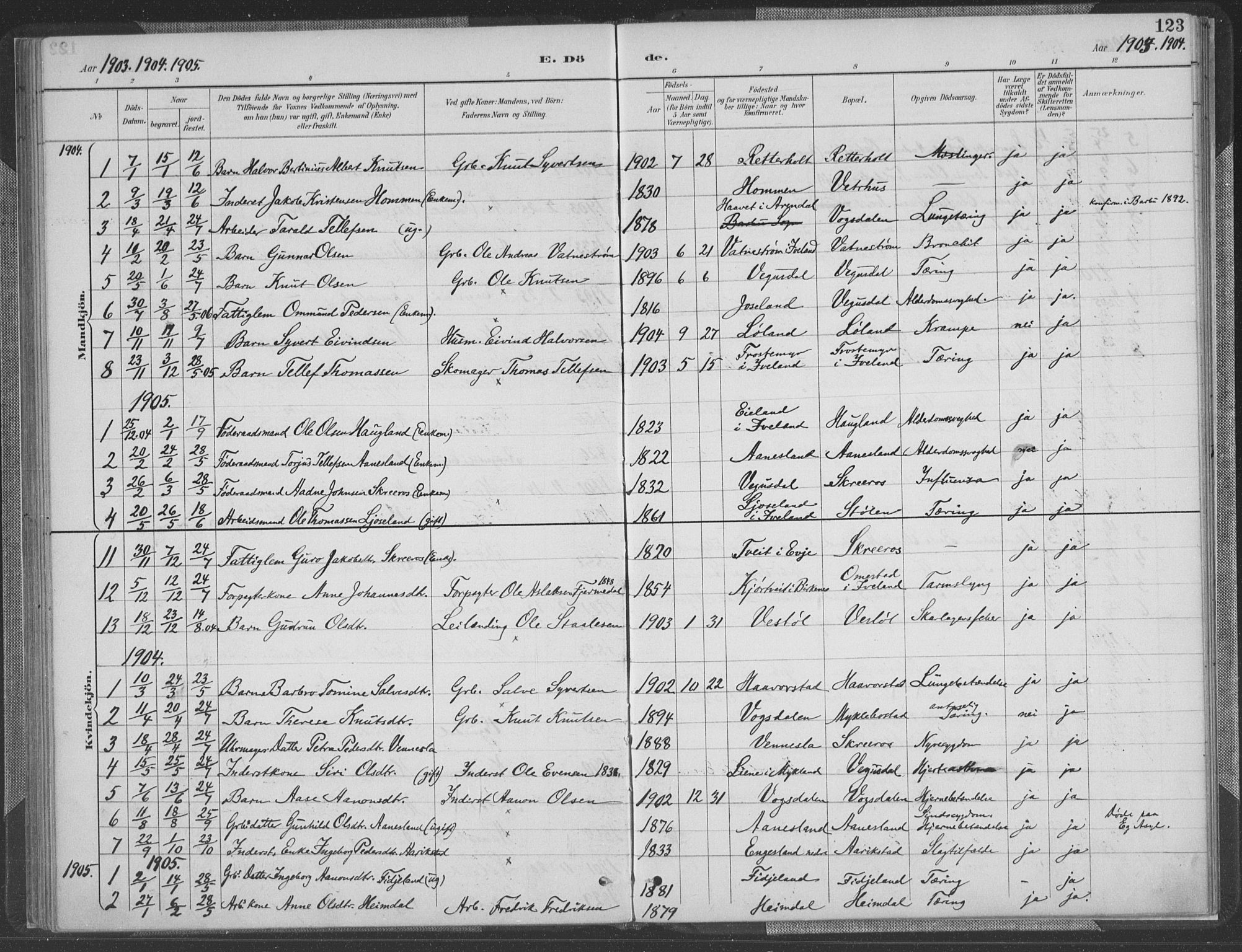 Herefoss sokneprestkontor, SAK/1111-0019/F/Fa/Fab/L0004: Parish register (official) no. A 4, 1887-1909, p. 123