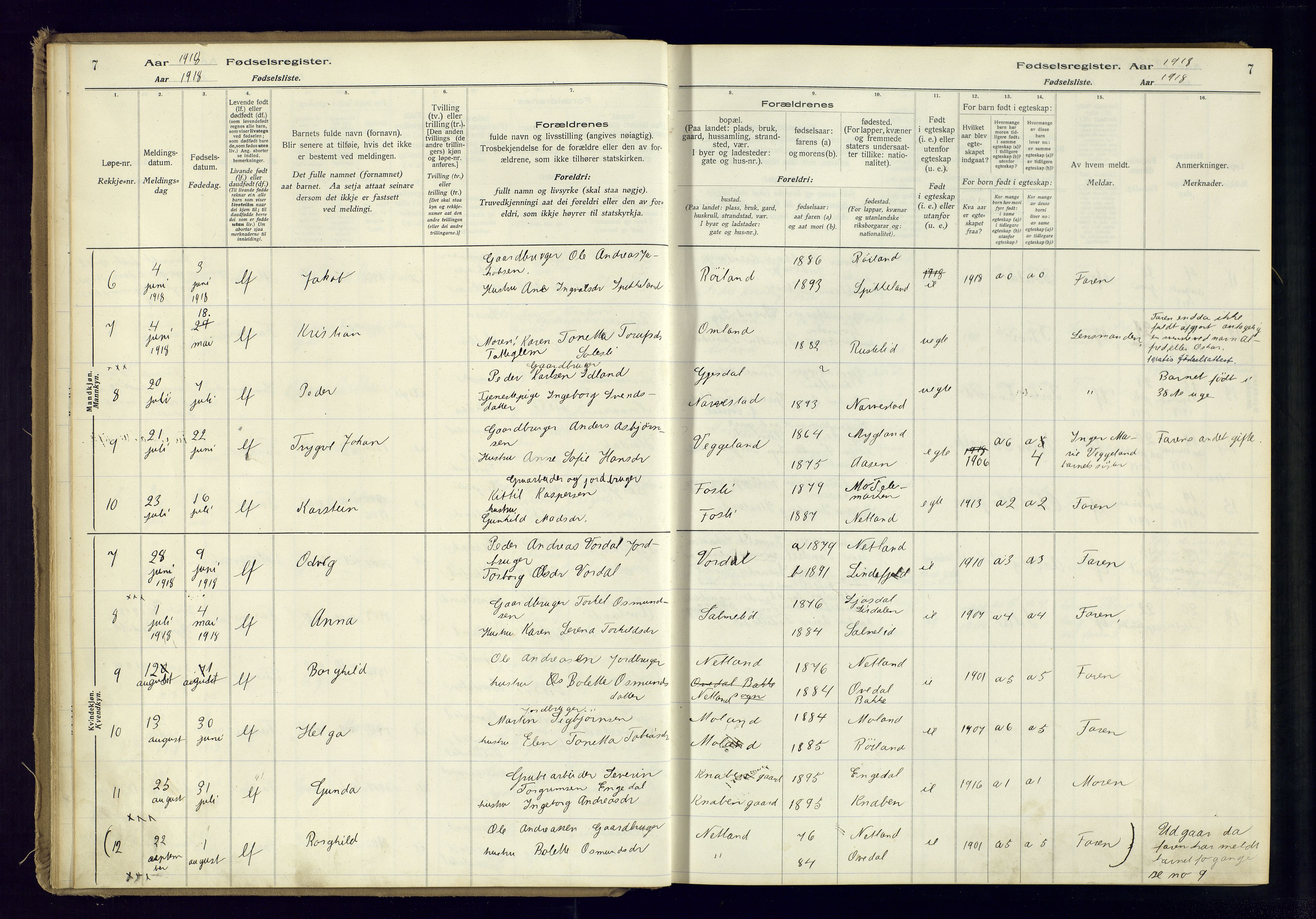 Fjotland sokneprestkontor, AV/SAK-1111-0010/J/Ja/L0001: Birth register no. 1, 1916-1981, p. 7