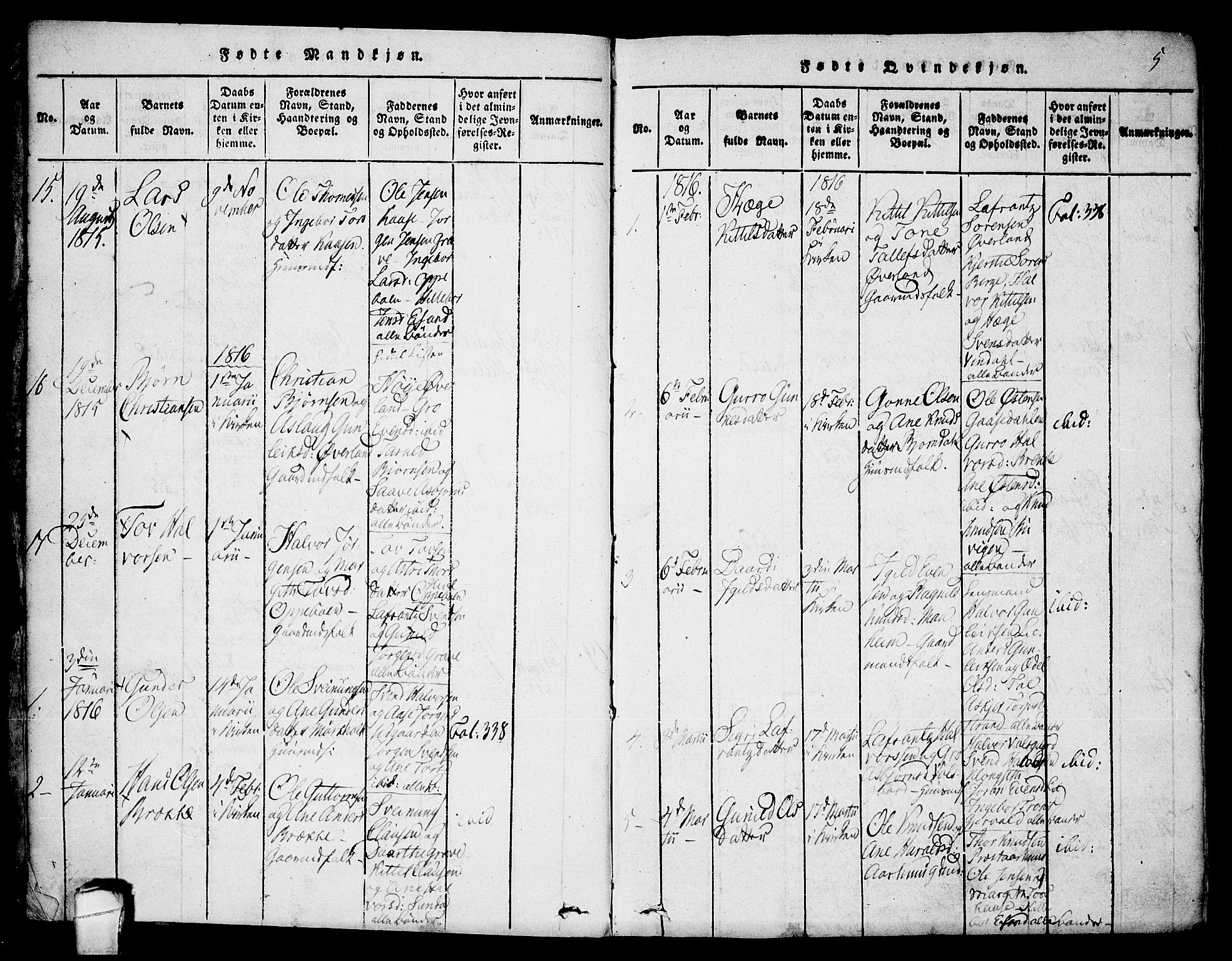 Seljord kirkebøker, SAKO/A-20/F/Fa/L0010: Parish register (official) no. I 10, 1815-1831, p. 5