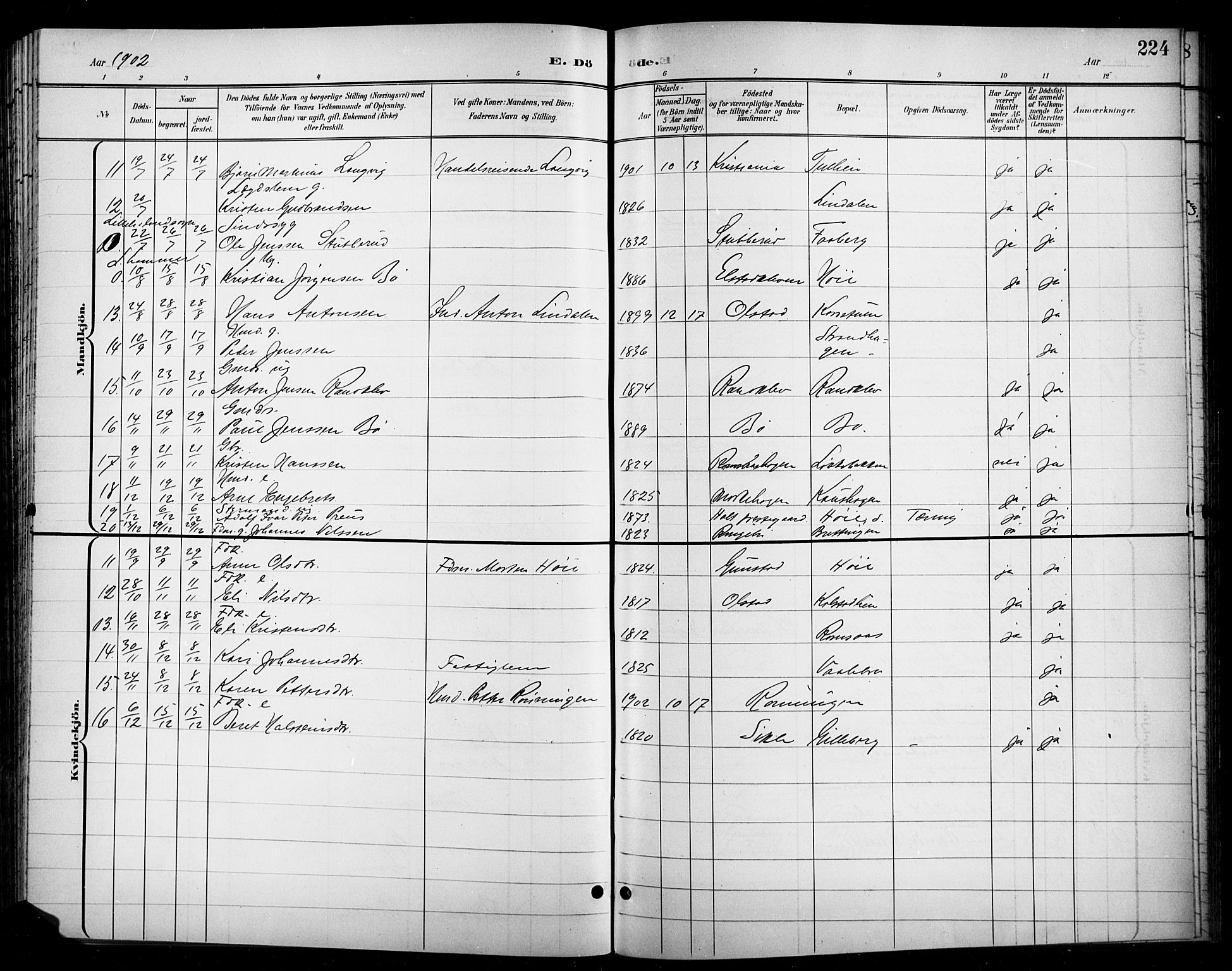Ringebu prestekontor, SAH/PREST-082/H/Ha/Hab/L0009: Parish register (copy) no. 9, 1899-1921, p. 224