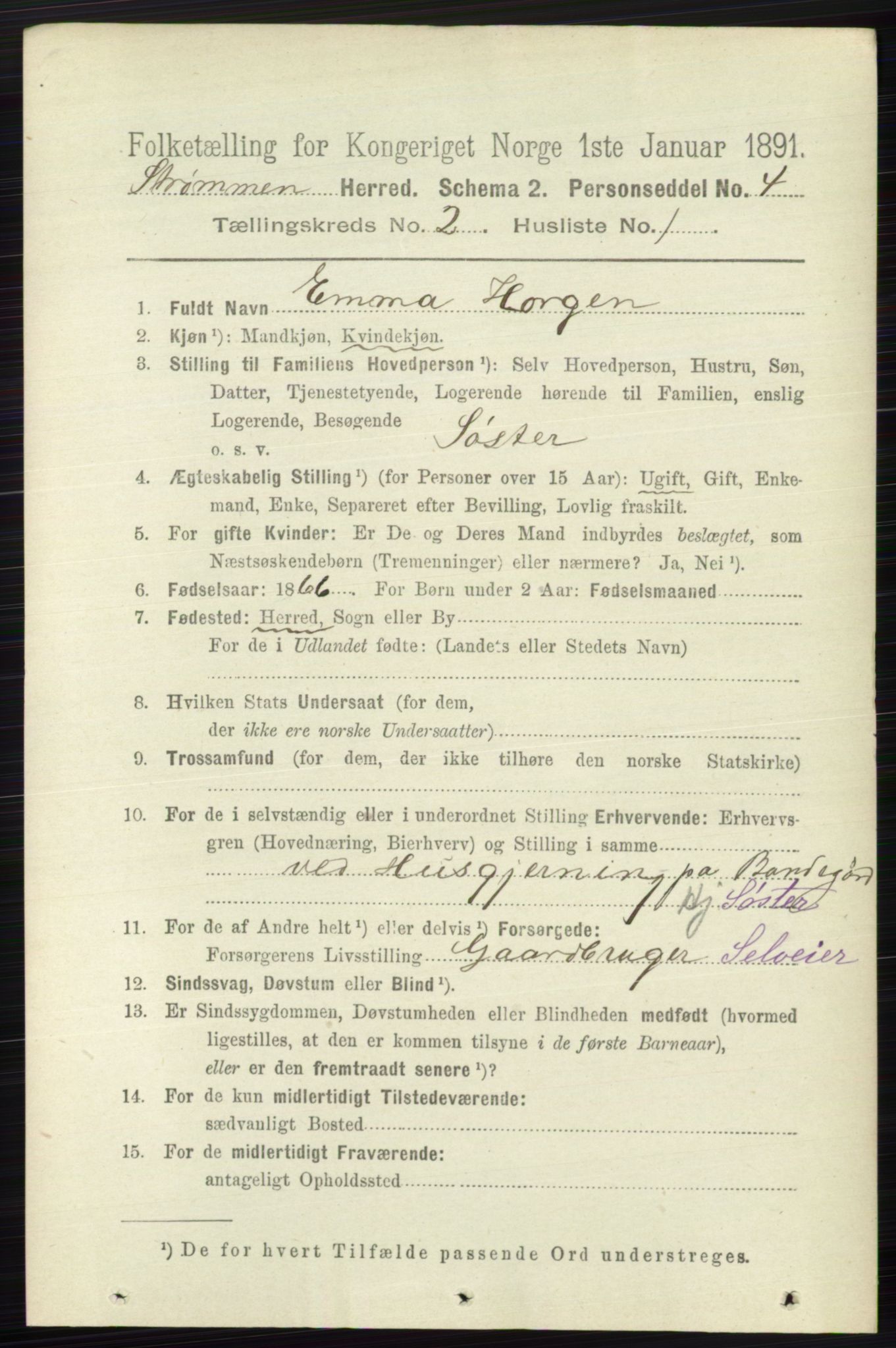 RA, 1891 census for 0711 Strømm, 1891, p. 699