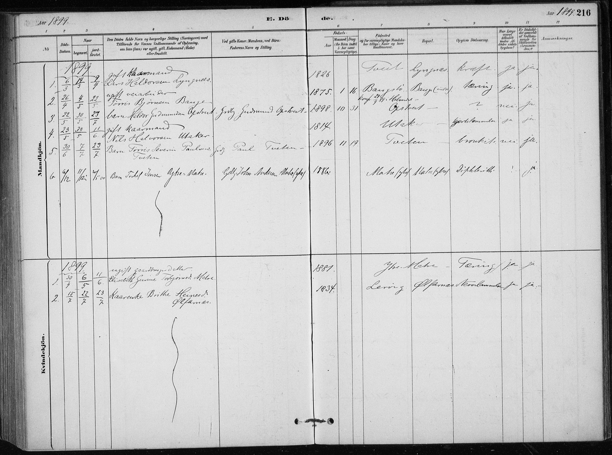 Skånevik sokneprestembete, SAB/A-77801/H/Haa: Parish register (official) no. C  1, 1879-1917, p. 216