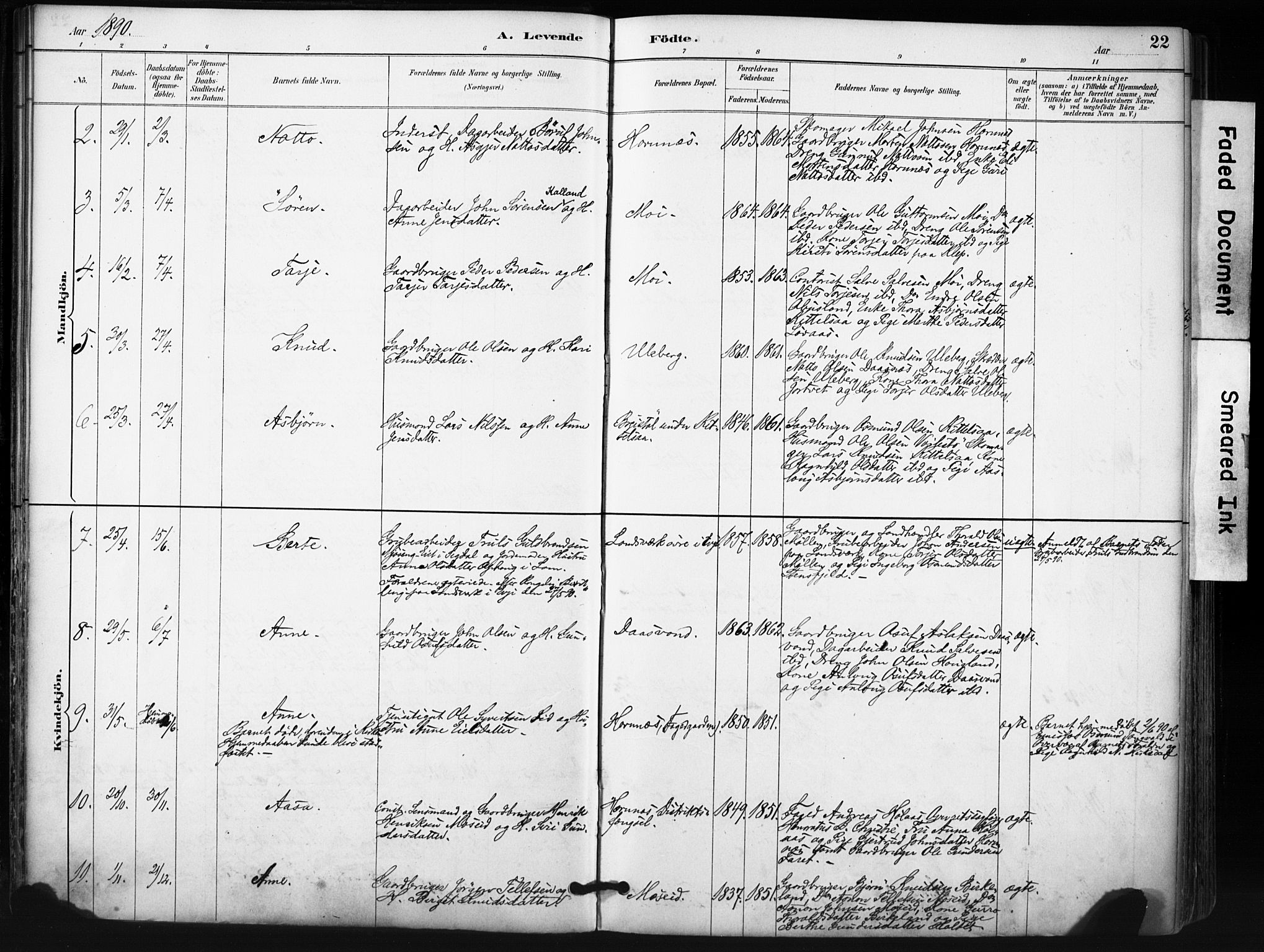 Evje sokneprestkontor, SAK/1111-0008/F/Fa/Fab/L0003: Parish register (official) no. A 3, 1884-1909, p. 22