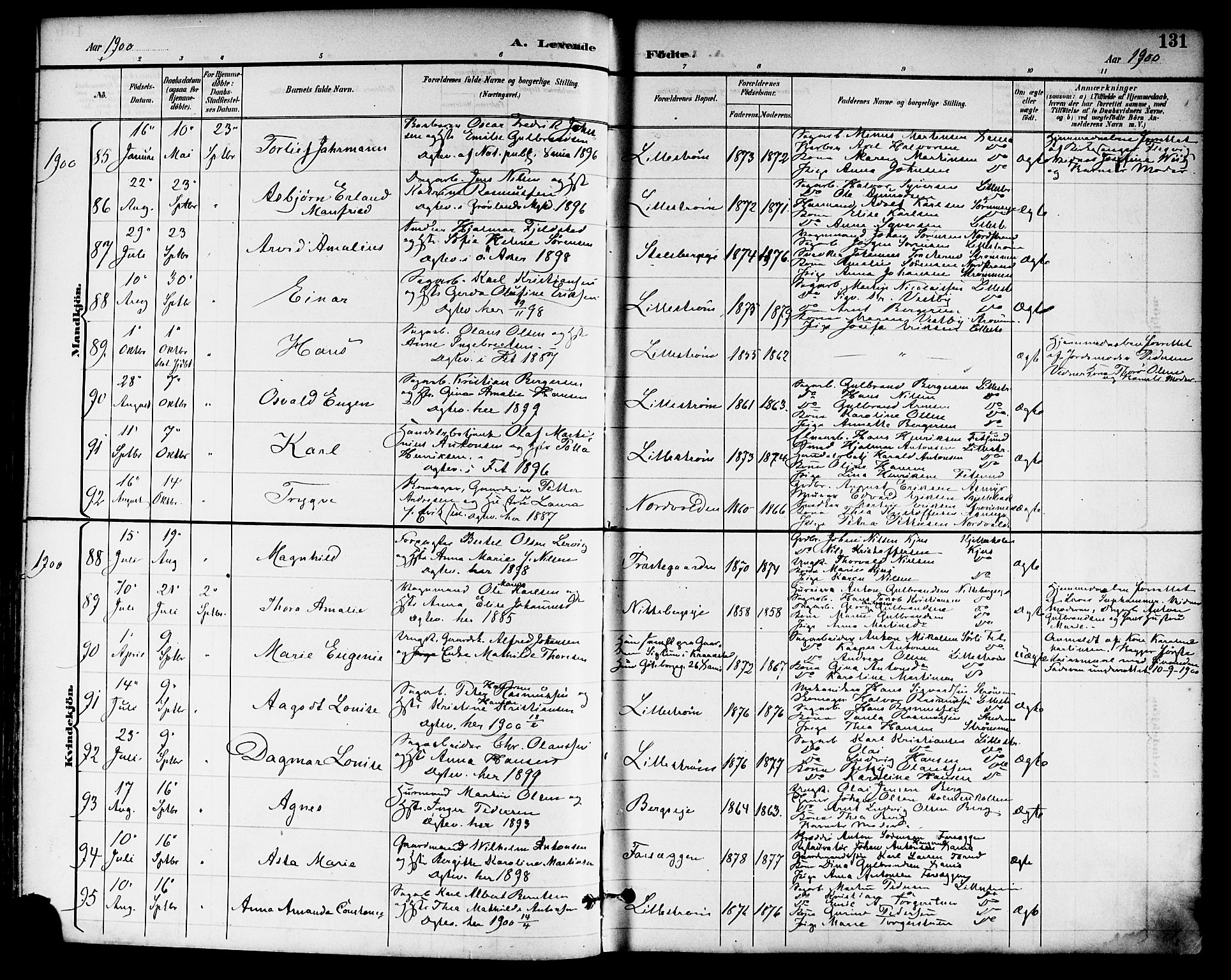 Skedsmo prestekontor Kirkebøker, SAO/A-10033a/F/Fa/L0014: Parish register (official) no. I 14, 1892-1901, p. 131