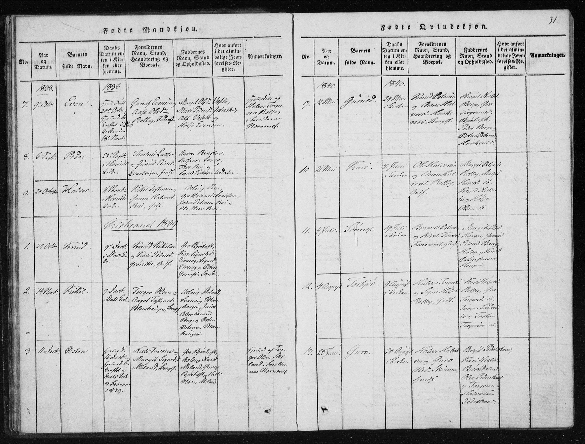 Tinn kirkebøker, SAKO/A-308/F/Fb/L0001: Parish register (official) no. II 1, 1815-1843, p. 31