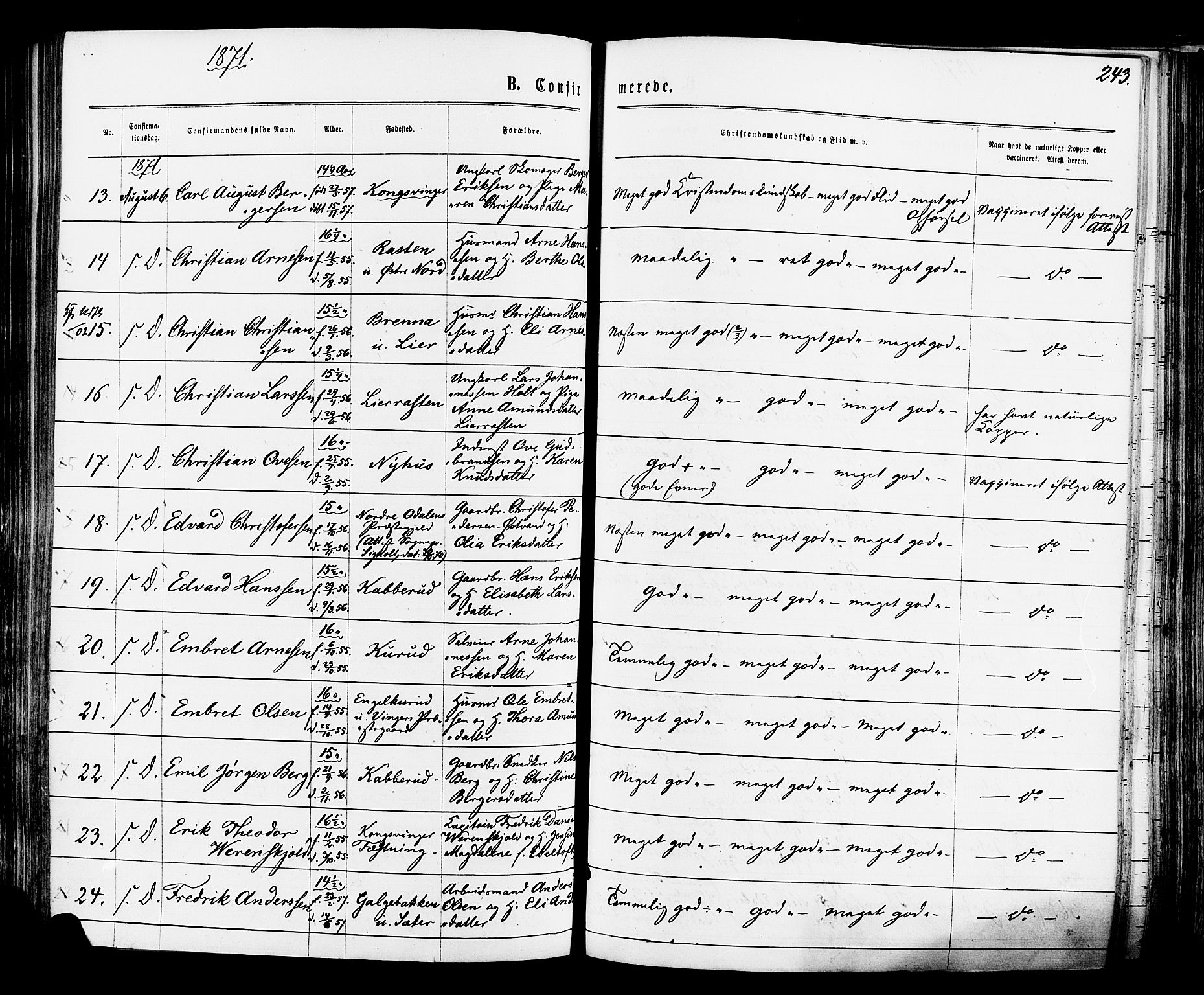 Vinger prestekontor, AV/SAH-PREST-024/H/Ha/Haa/L0012: Parish register (official) no. 12, 1871-1880, p. 243