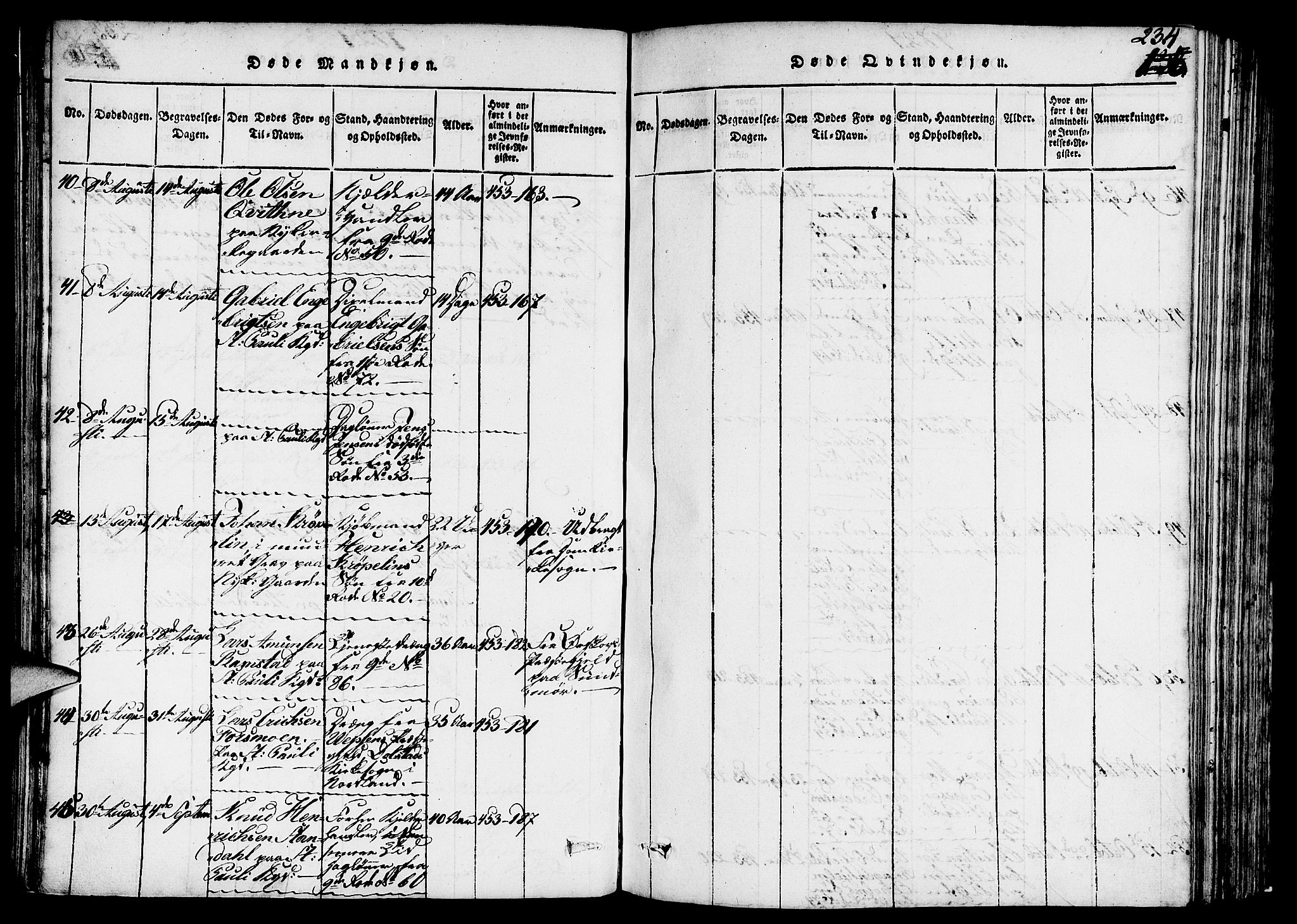 Nykirken Sokneprestembete, SAB/A-77101/H/Hab/L0003: Parish register (copy) no. A 4, 1816-1821, p. 234