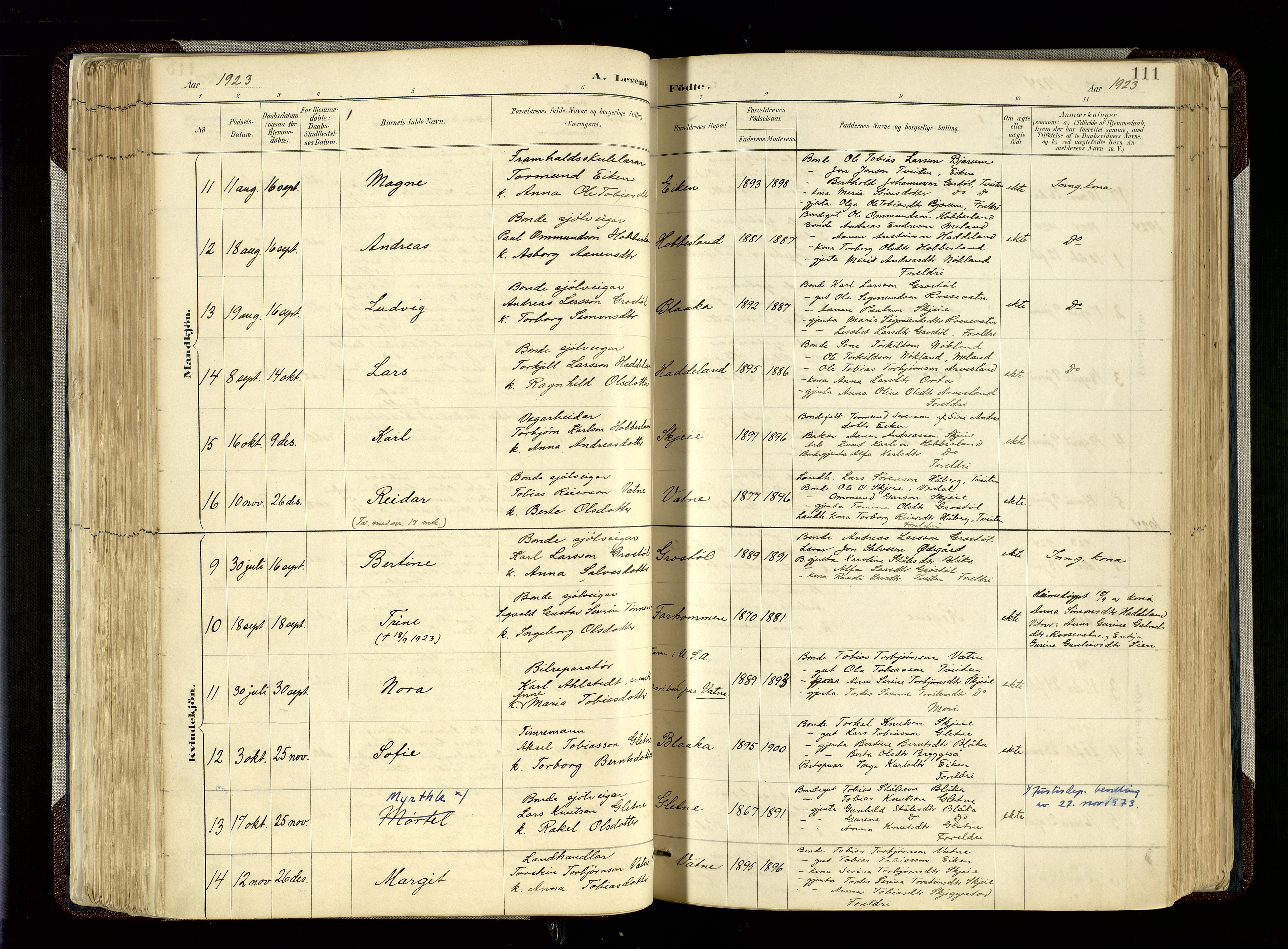 Hægebostad sokneprestkontor, SAK/1111-0024/F/Fa/Fab/L0004: Parish register (official) no. A 4, 1887-1929, p. 111