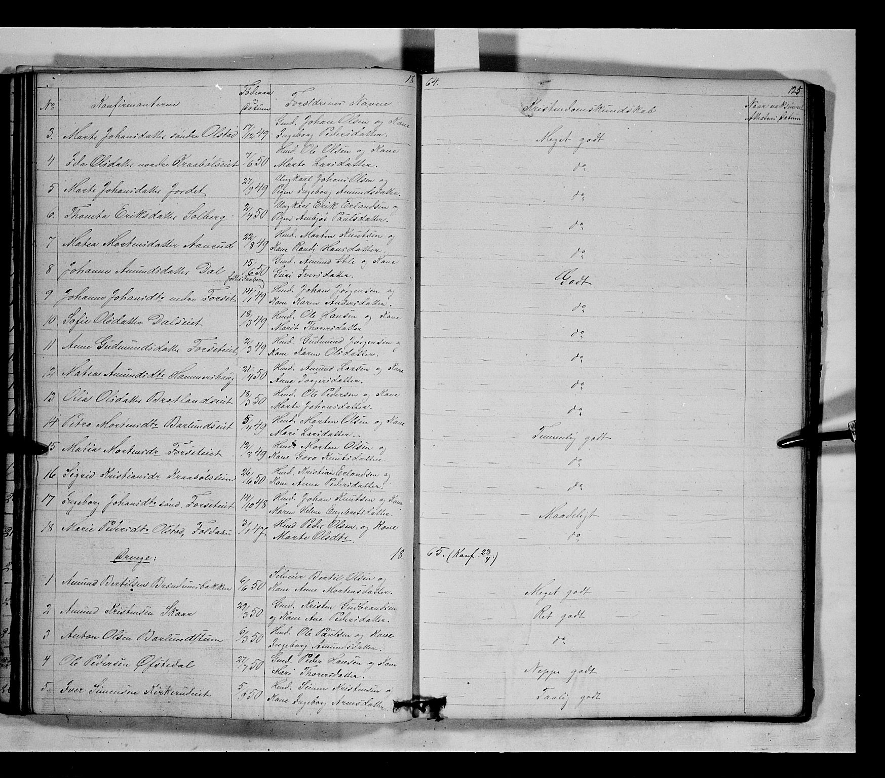 Gausdal prestekontor, AV/SAH-PREST-090/H/Ha/Hab/L0005: Parish register (copy) no. 5, 1846-1867, p. 125