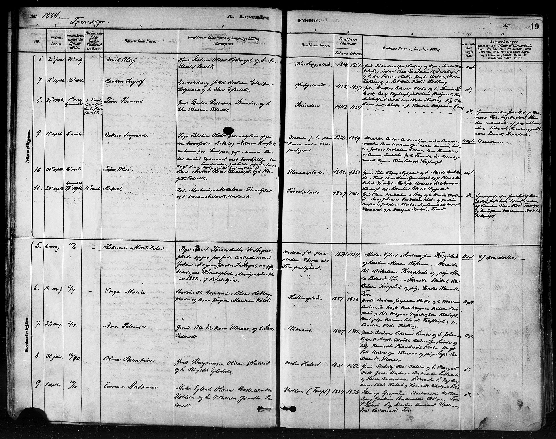 Ministerialprotokoller, klokkerbøker og fødselsregistre - Nord-Trøndelag, SAT/A-1458/746/L0448: Parish register (official) no. 746A07 /1, 1878-1900, p. 19