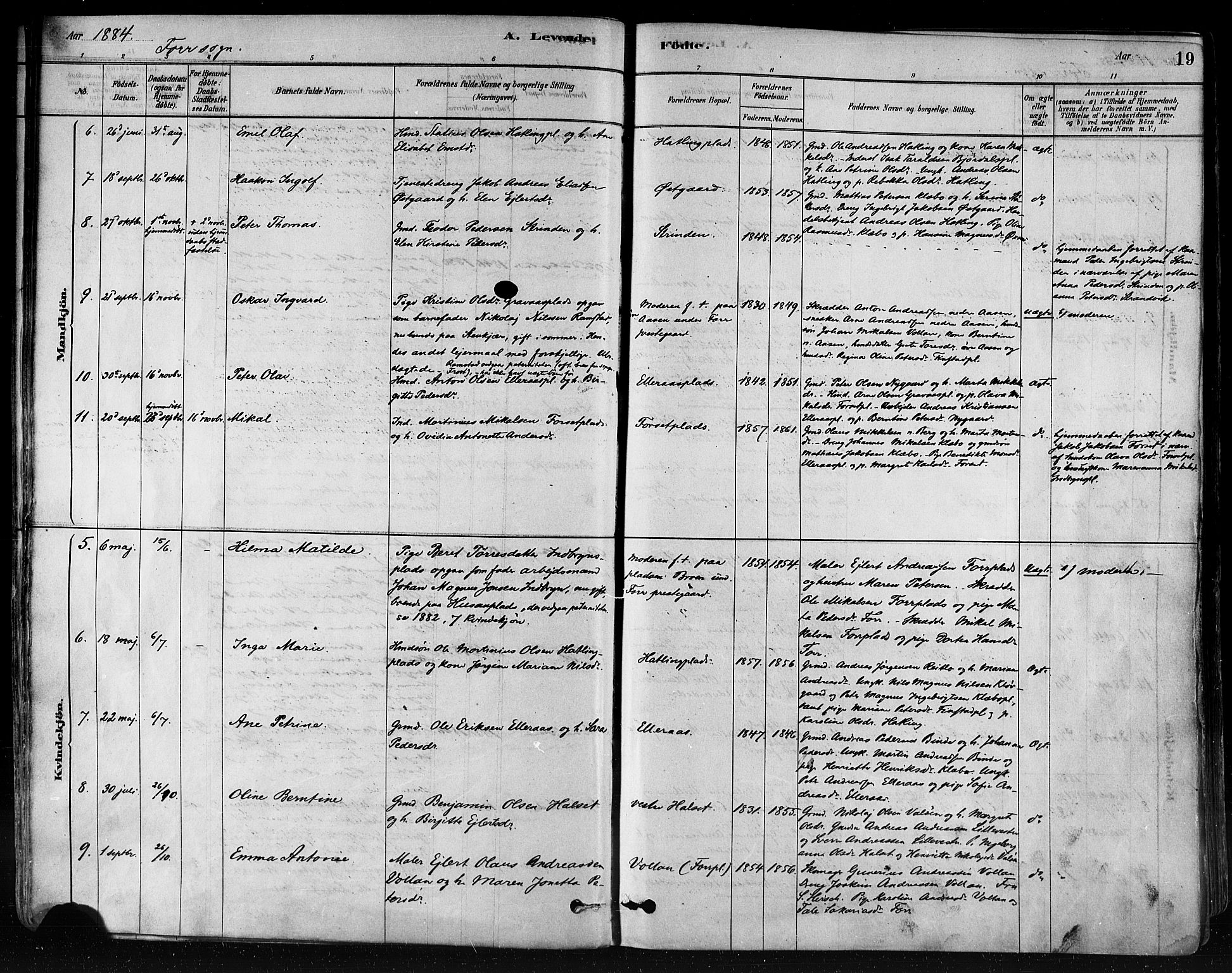 Ministerialprotokoller, klokkerbøker og fødselsregistre - Nord-Trøndelag, AV/SAT-A-1458/746/L0448: Parish register (official) no. 746A07 /1, 1878-1900, p. 19