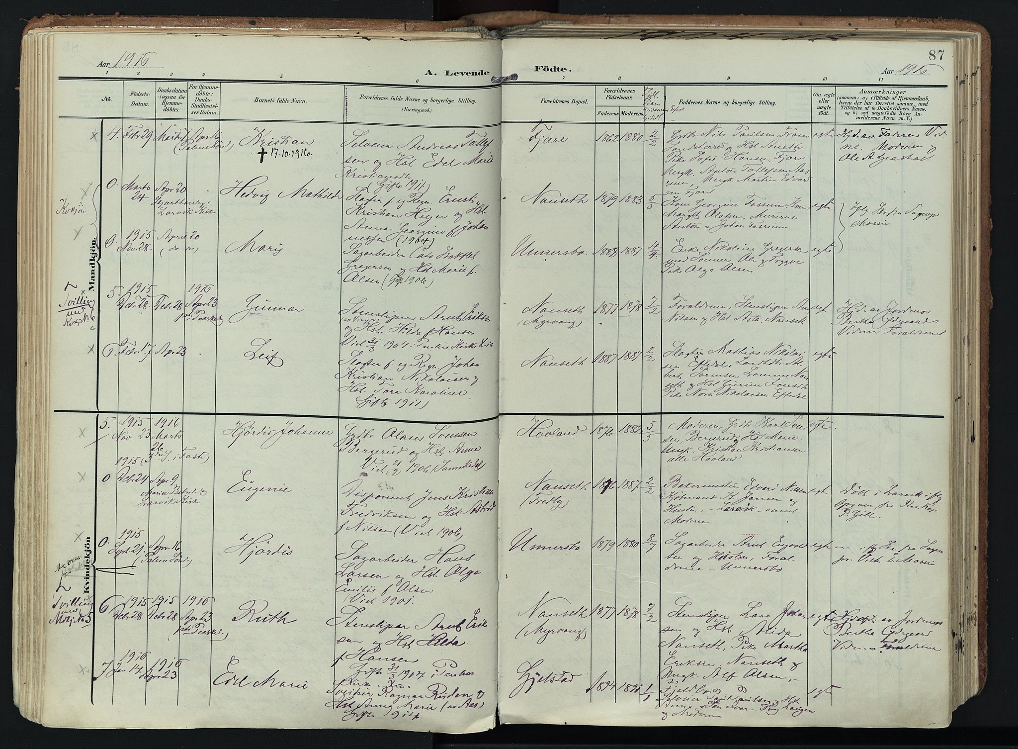 Hedrum kirkebøker, SAKO/A-344/F/Fa/L0010: Parish register (official) no. I 10, 1904-1918, p. 87