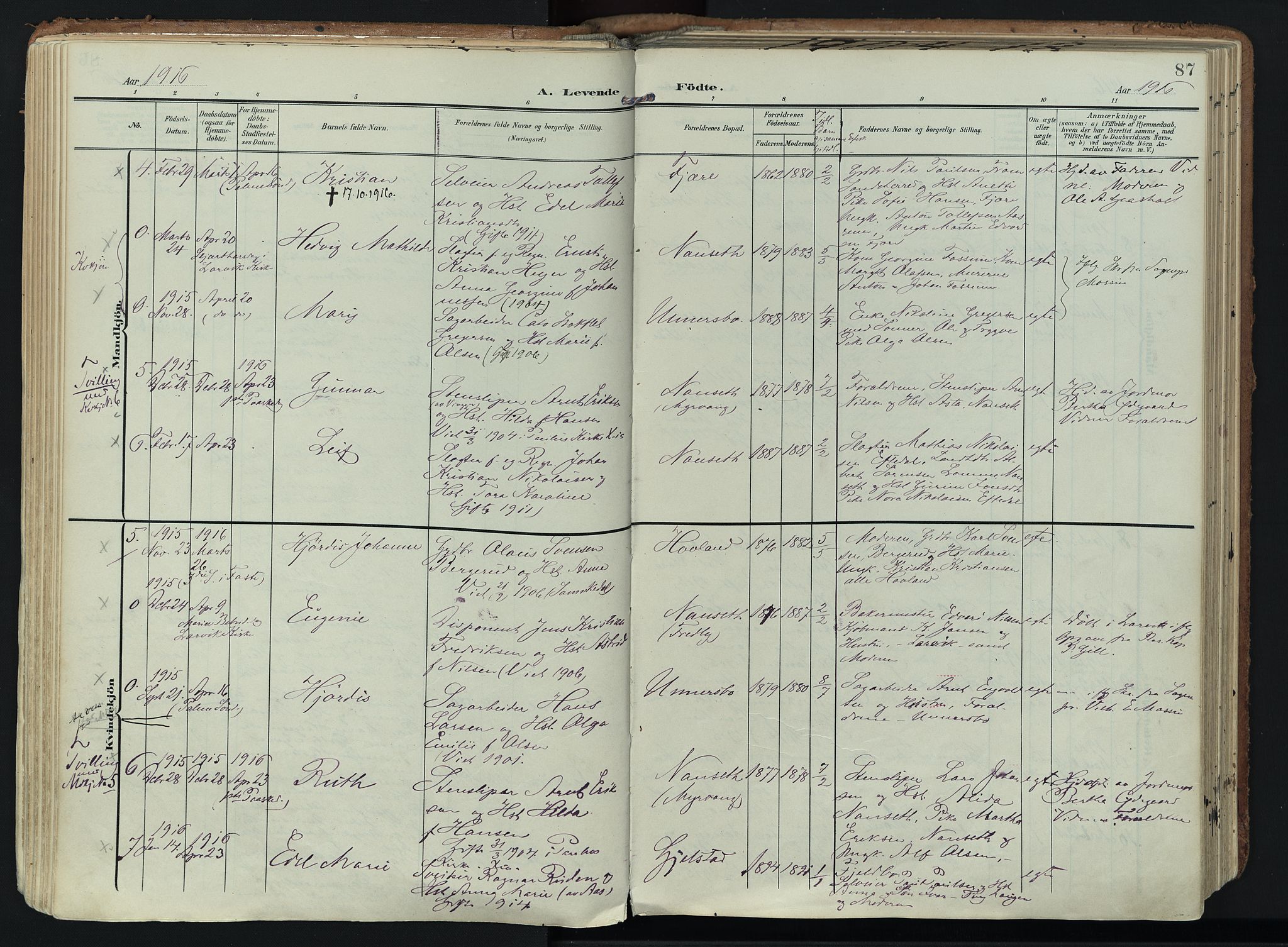 Hedrum kirkebøker, AV/SAKO-A-344/F/Fa/L0010: Parish register (official) no. I 10, 1904-1918, p. 87