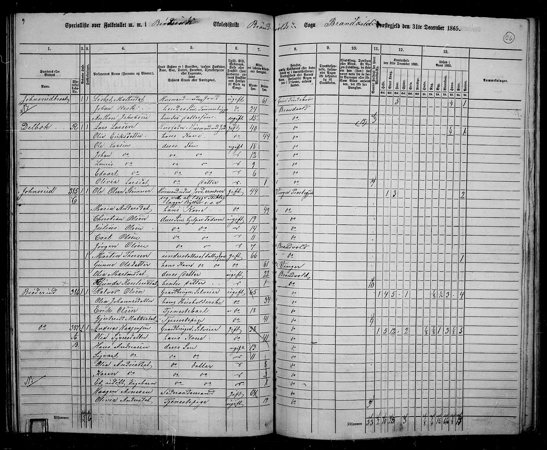 RA, 1865 census for Brandval, 1865, p. 107